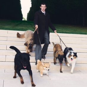 Louis Vuitton Expands Its World for Well-Dressed Dogs