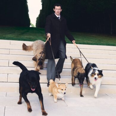 Louis Vuitton Expands Its World for Well-Dressed Dogs