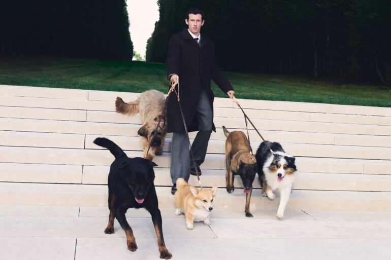 Louis Vuitton Expands Its World for Well-Dressed Dogs