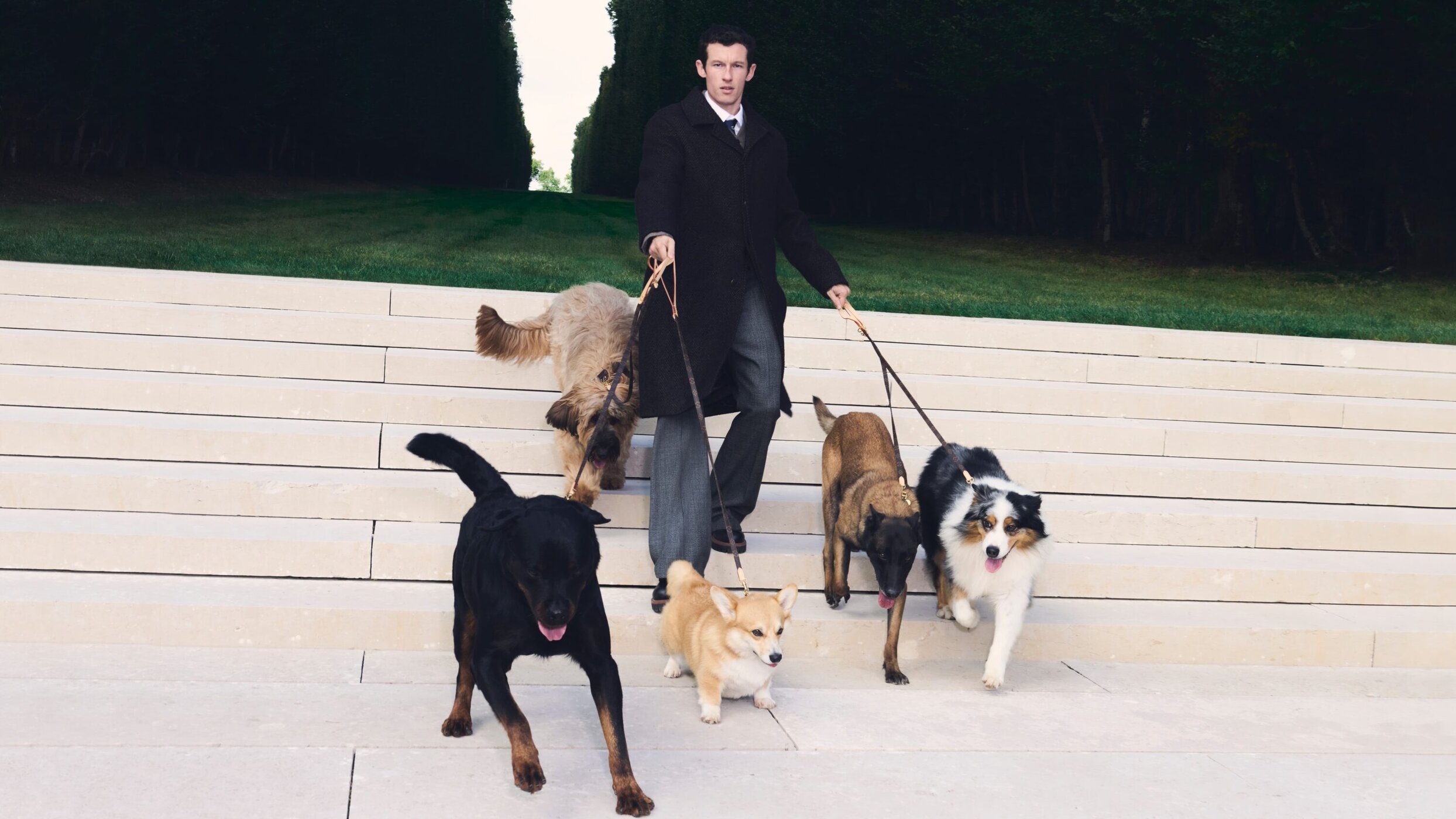 Louis Vuitton Expands Its World for Well-Dressed Dogs