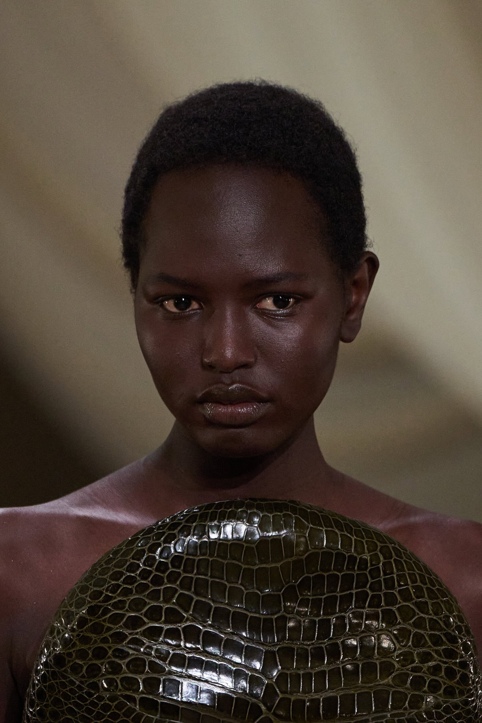 Ashi Studio Spring 2026 Couture Fashion Show Details