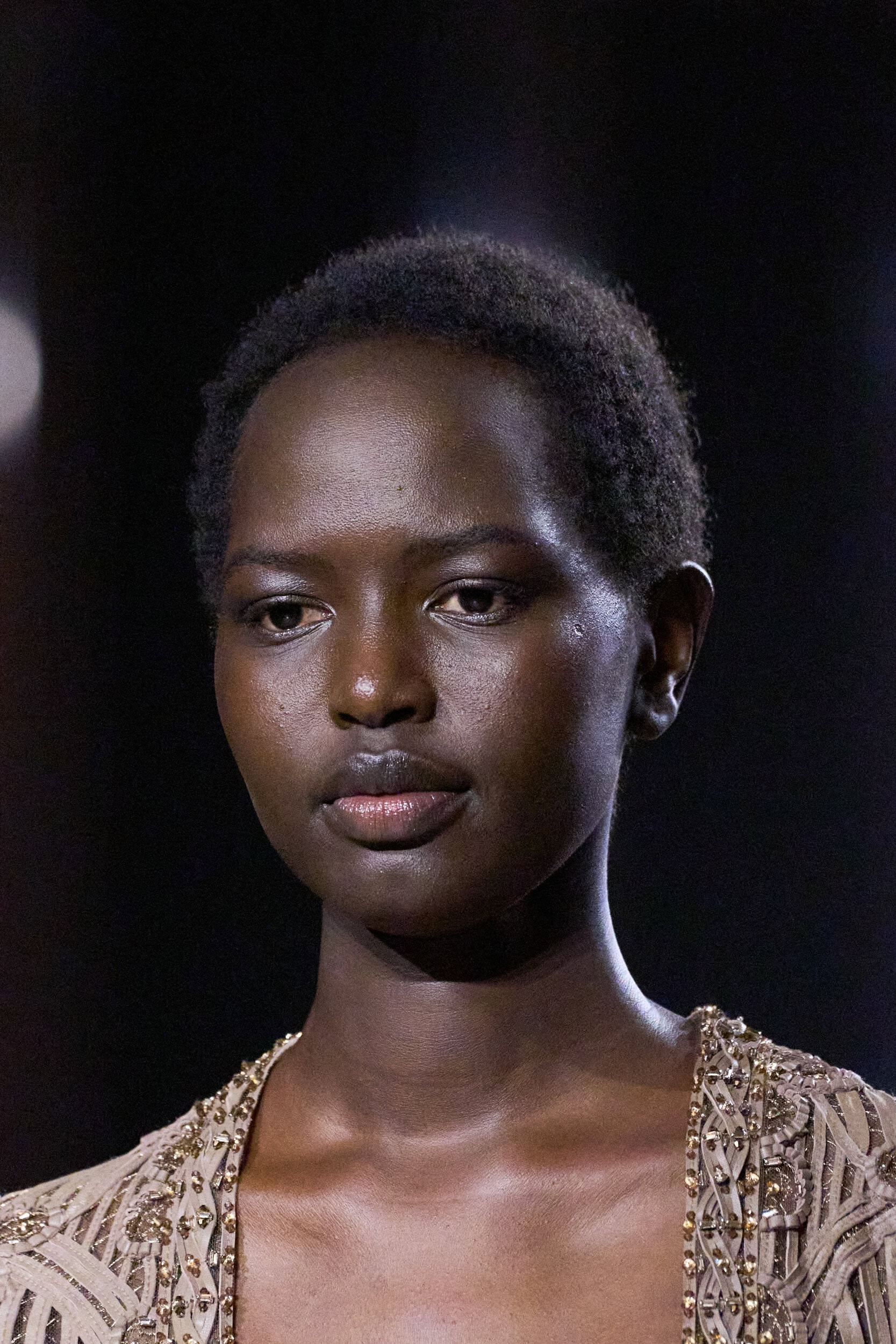 Elie Saab Spring 2026 Couture Fashion Show Details