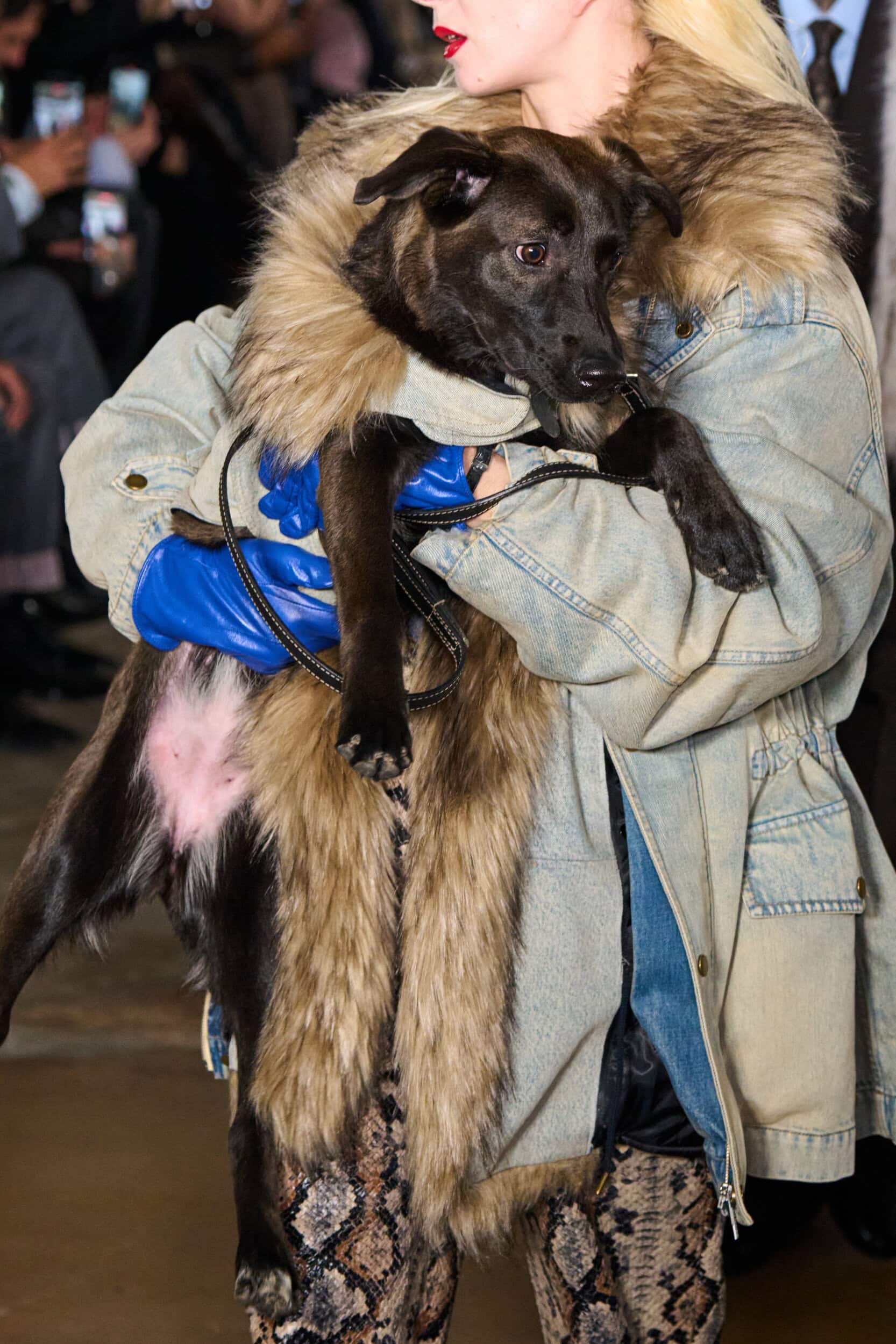 Feng Chen Wang Fall 2026 Men’s Fashion Show Details