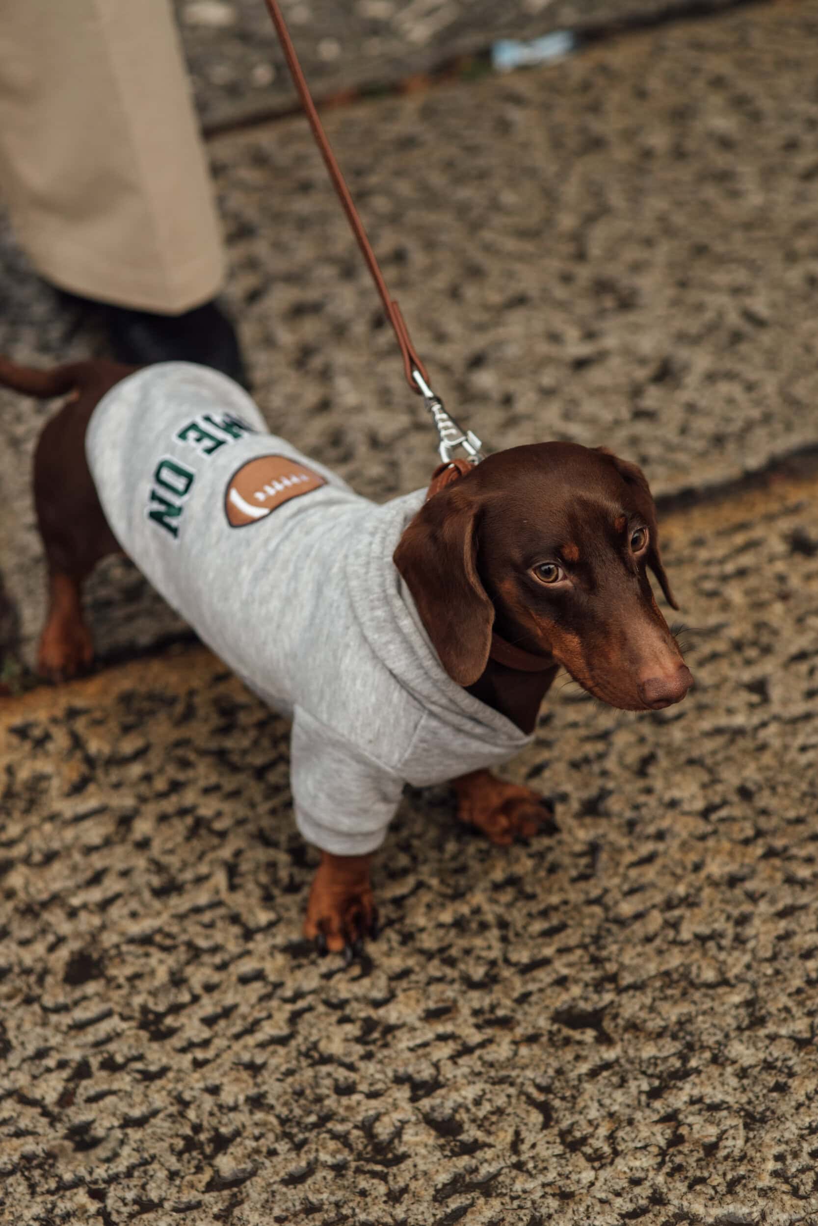 Milano Milan Men's Street Style Fall 2026 Shows