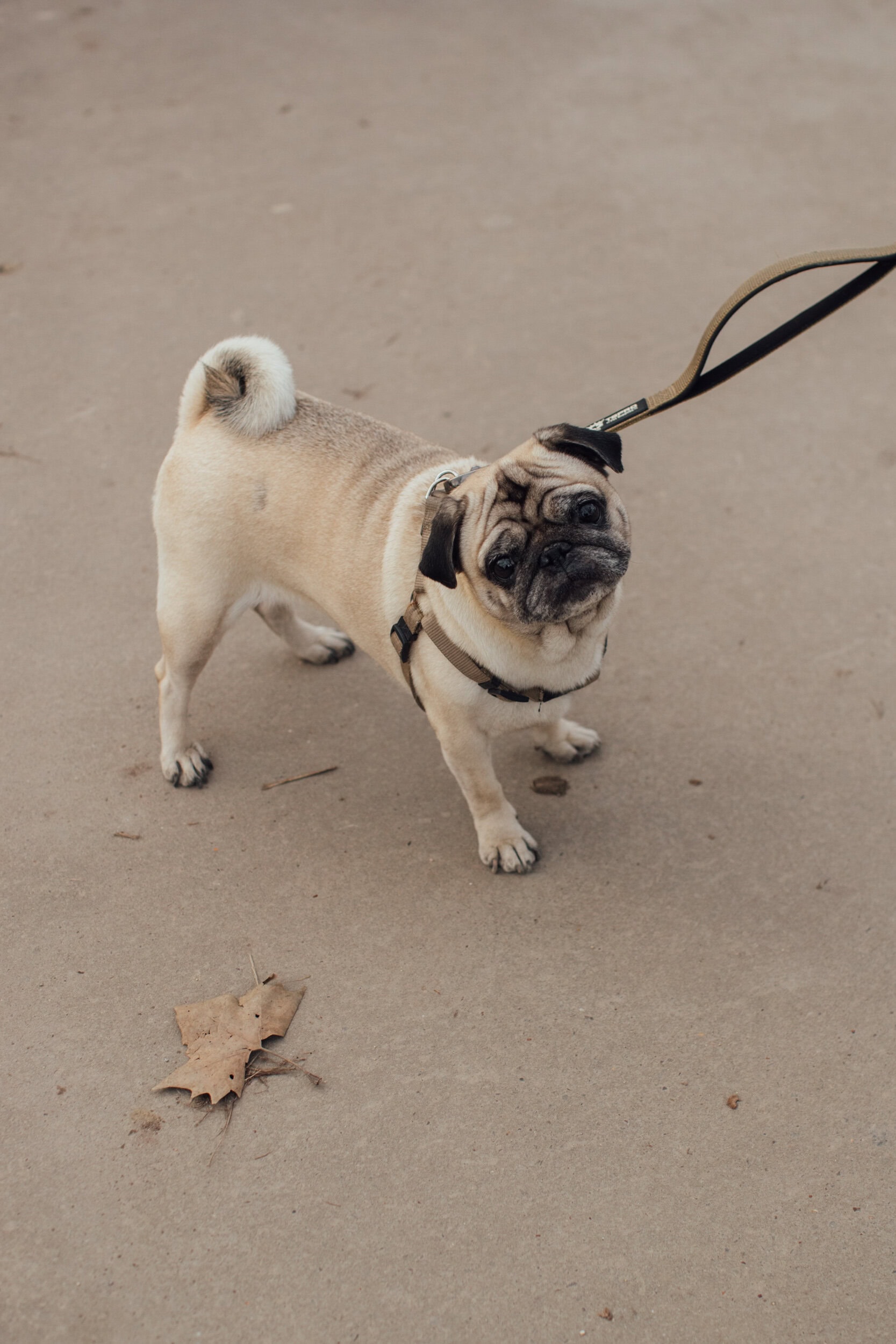 Paris Paris Men's Street Style Fall 2026 Shows