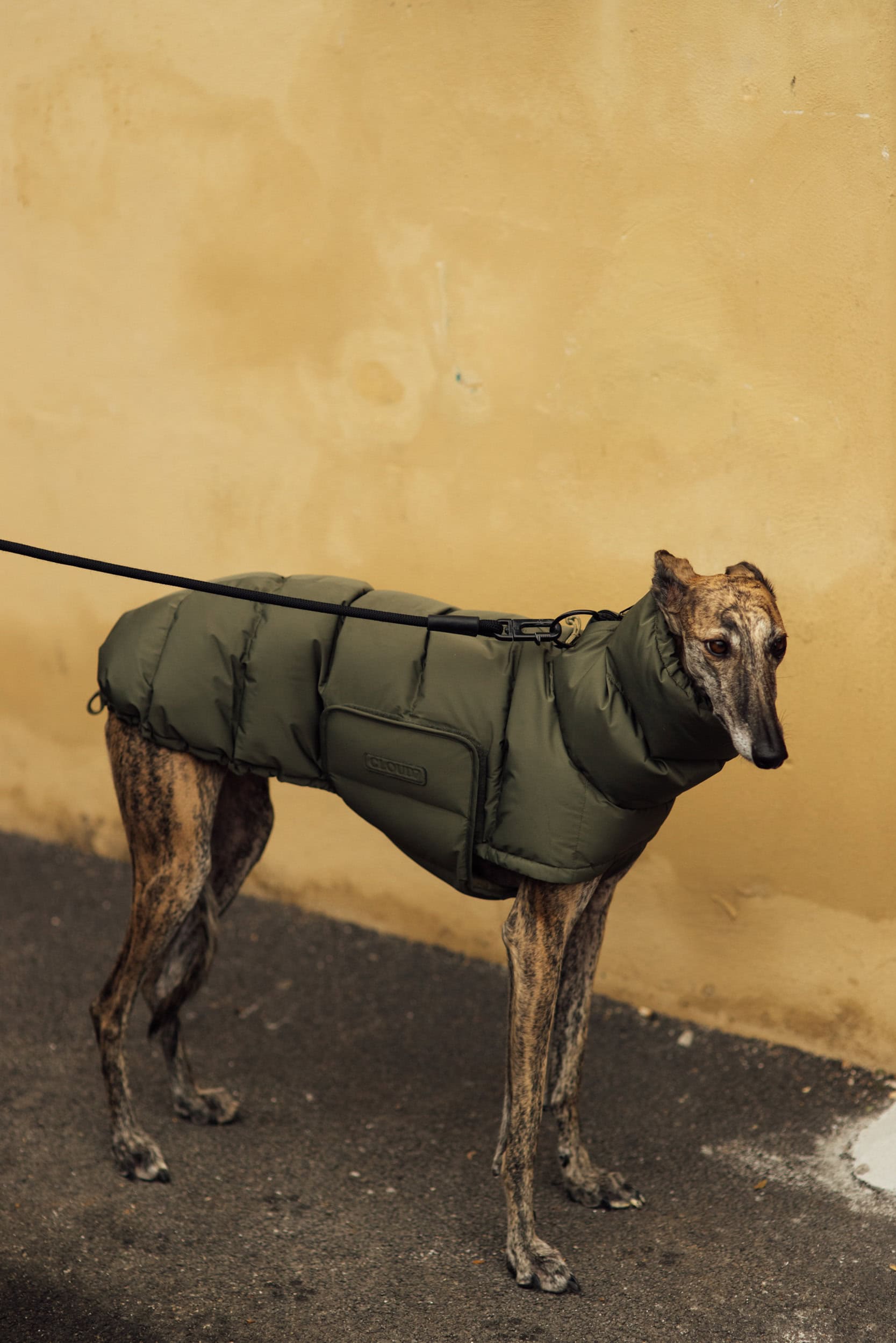 Firenze Pitti Uomo Men's Street Style Fall 2026 Shows