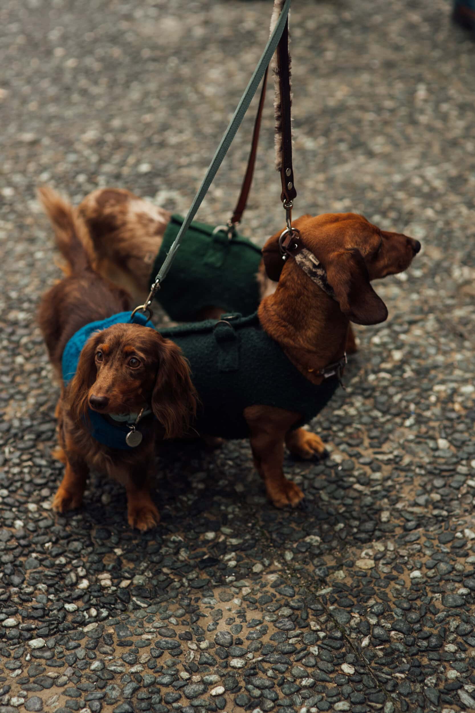 Firenze Pitti Uomo Men's Street Style Fall 2026 Shows