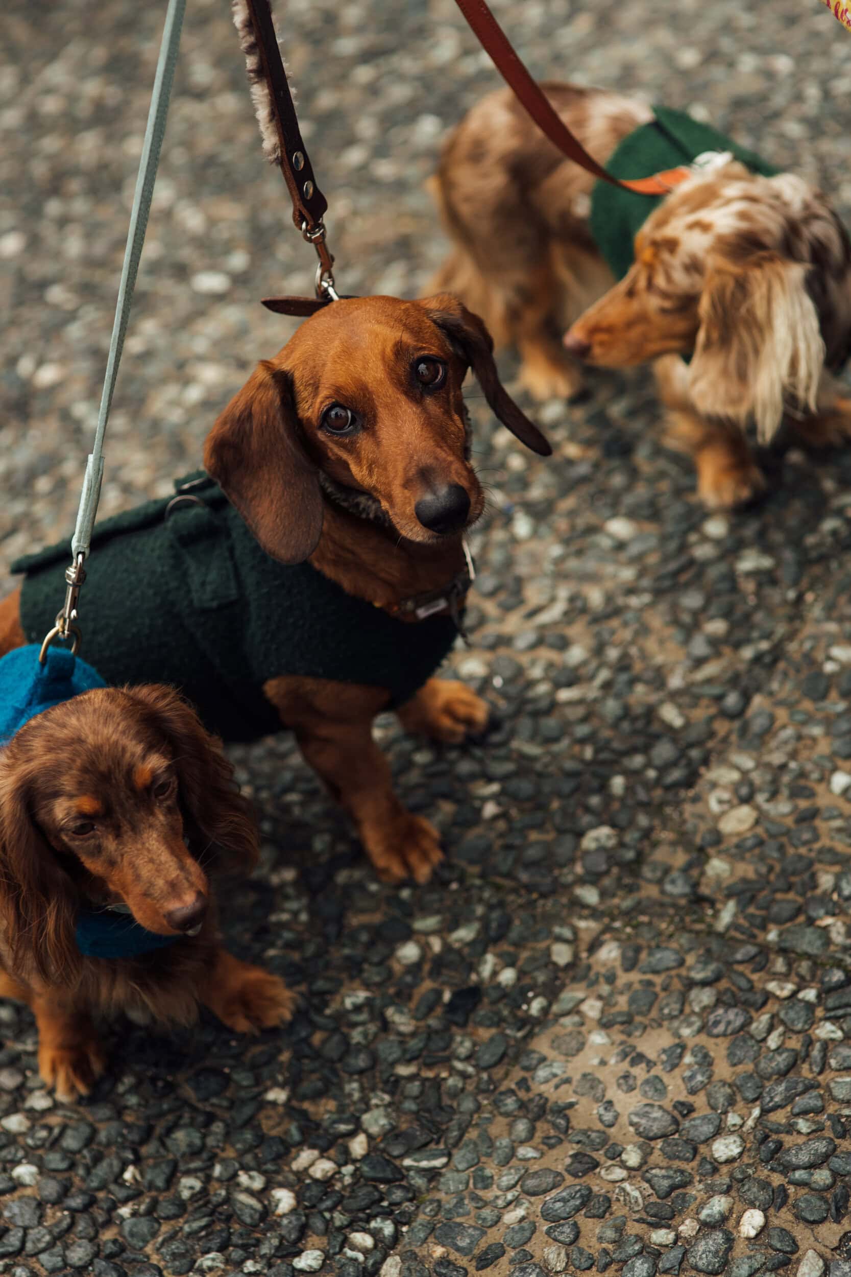 Firenze Pitti Uomo Men's Street Style Fall 2026 Shows