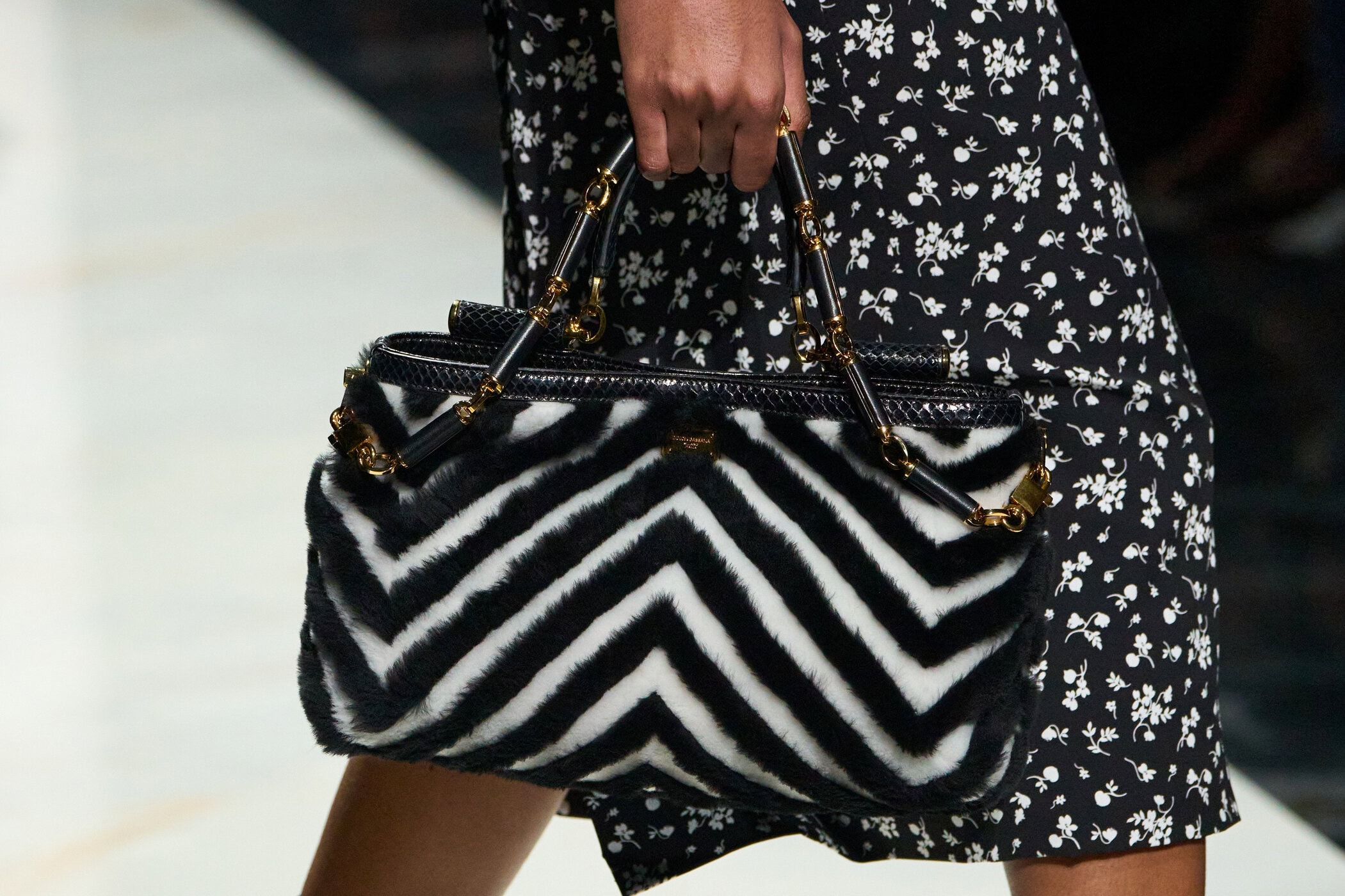 Dolce & Gabbana Fall 2026 Fashion Show Details