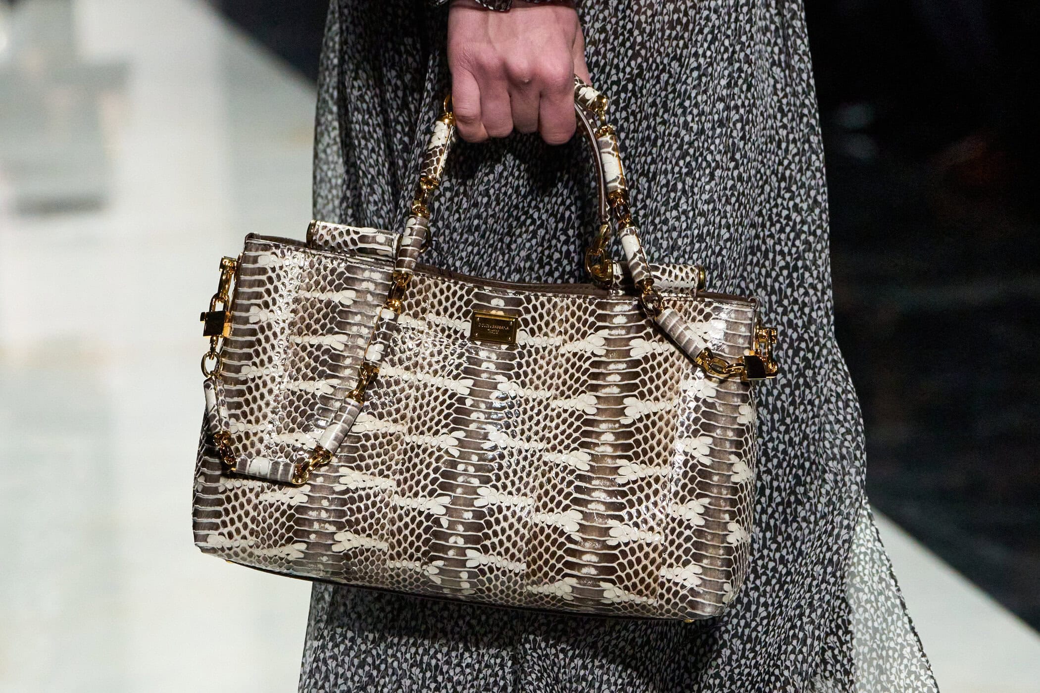 Dolce & Gabbana Fall 2026 Fashion Show Details