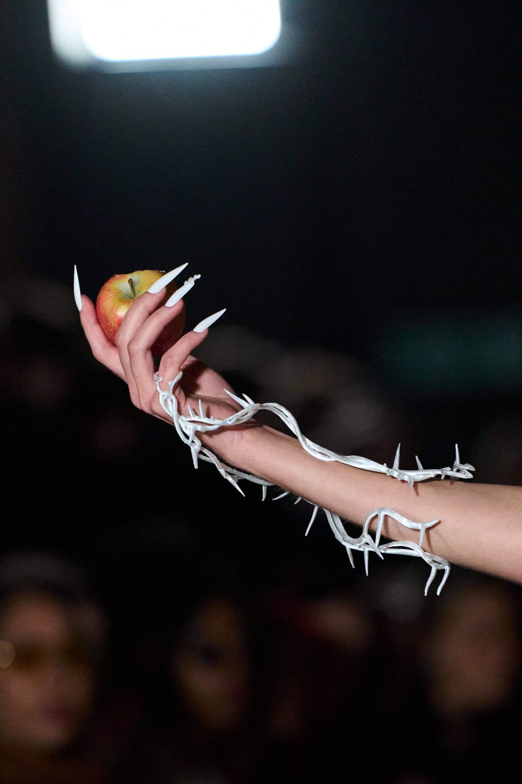 Dreaming Eli Fall 2026 Fashion Show Details