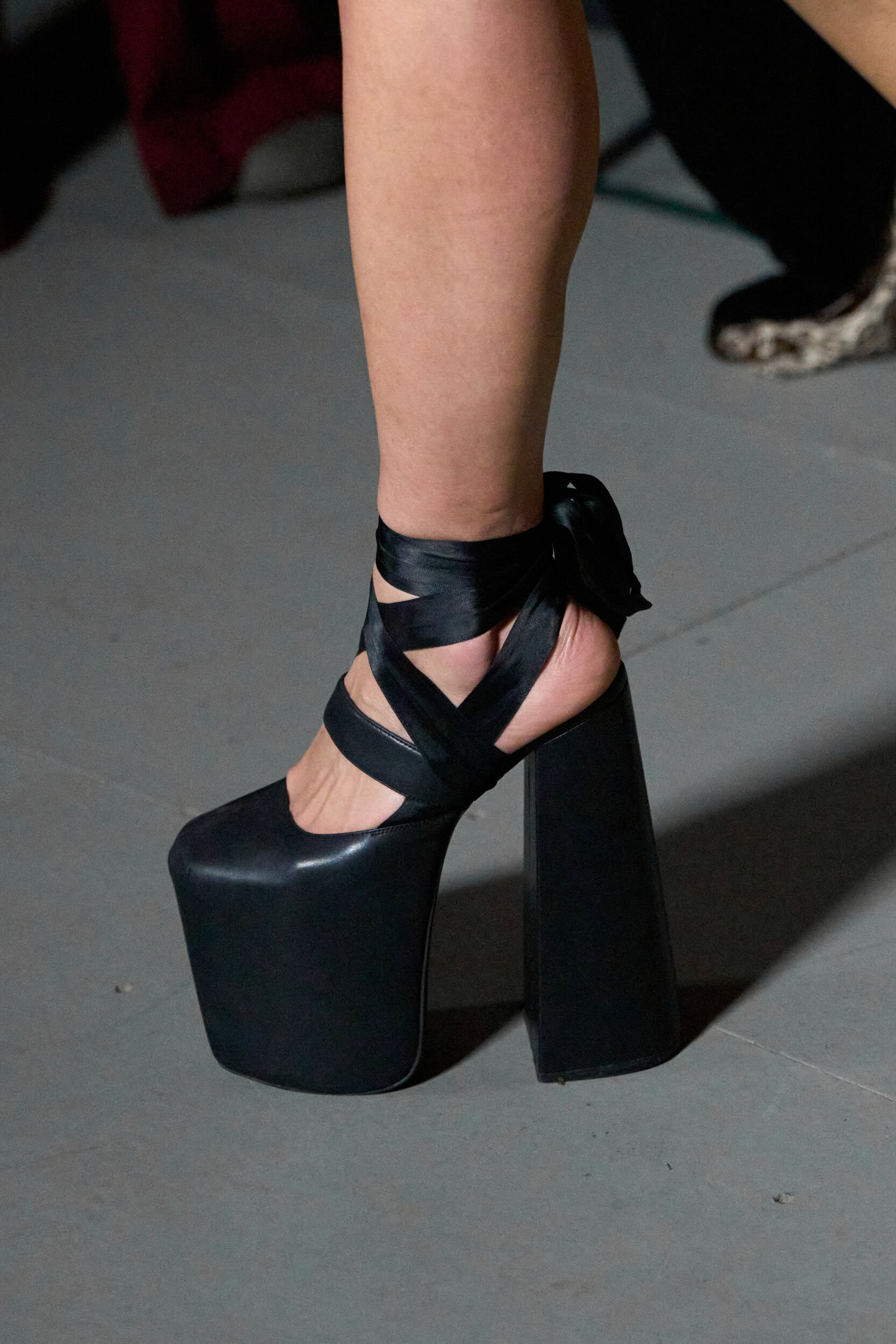 Dreaming Eli Fall 2026 Fashion Show Details