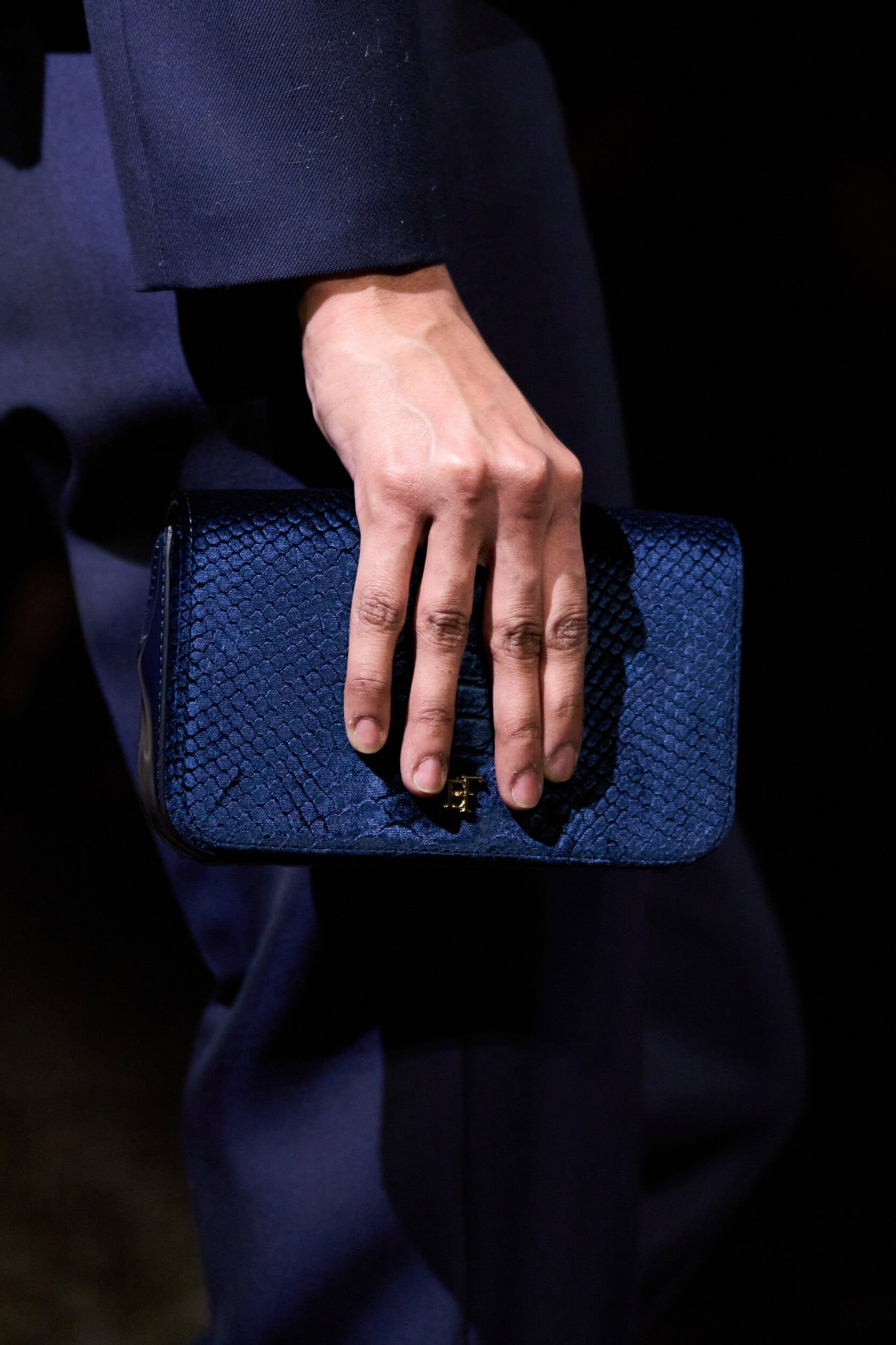 Elisabetta Franchi Fall 2026 Fashion Show Details