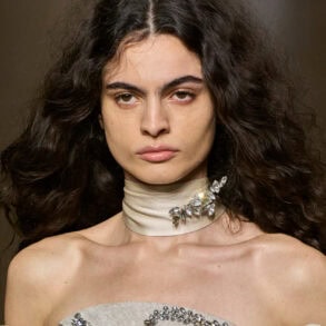 Erdem Fall 2026 Fashion Show Details