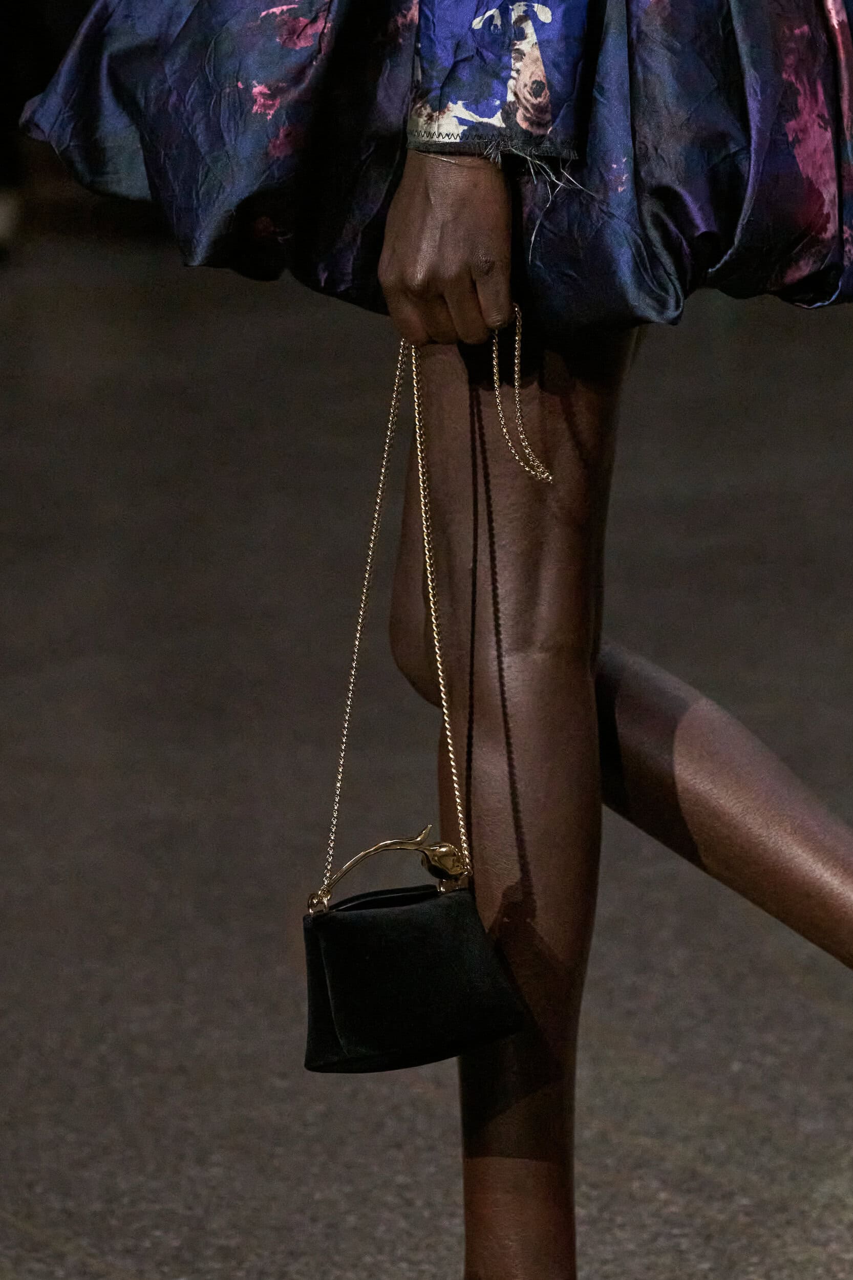 Erdem Fall 2026 Fashion Show Details