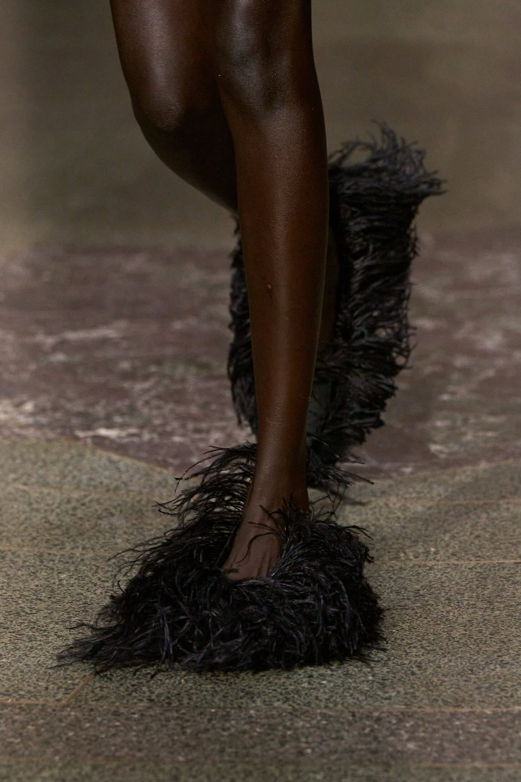 Erdem Fall 2026 Fashion Show Details