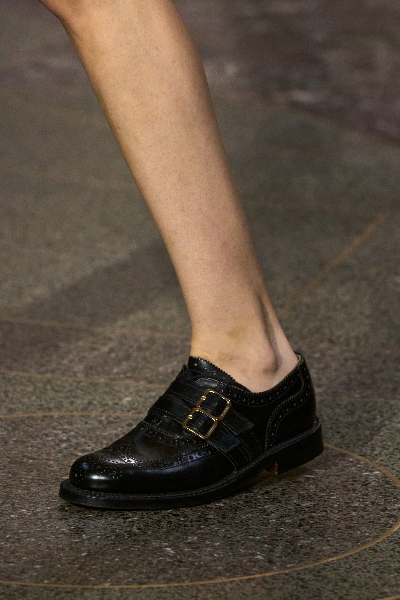 Erdem Fall 2026 Fashion Show Details