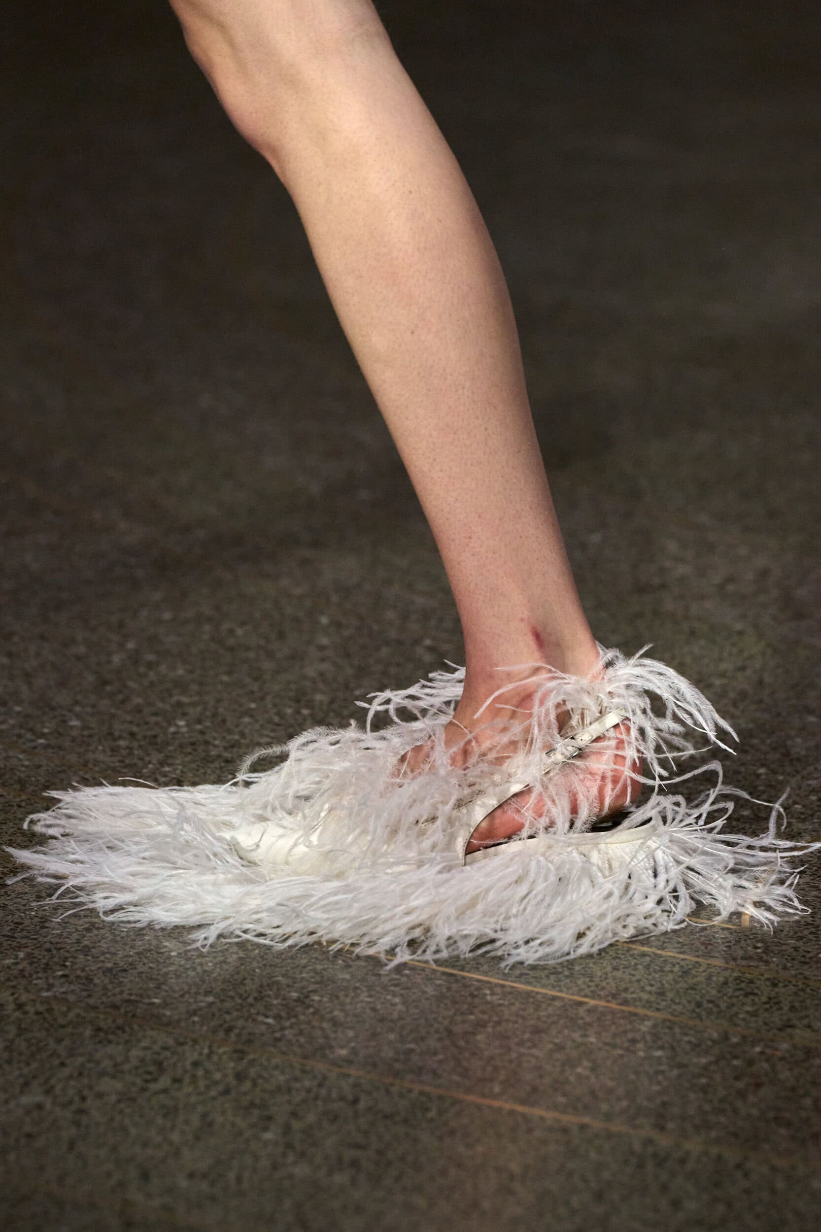 Erdem Fall 2026 Fashion Show Details