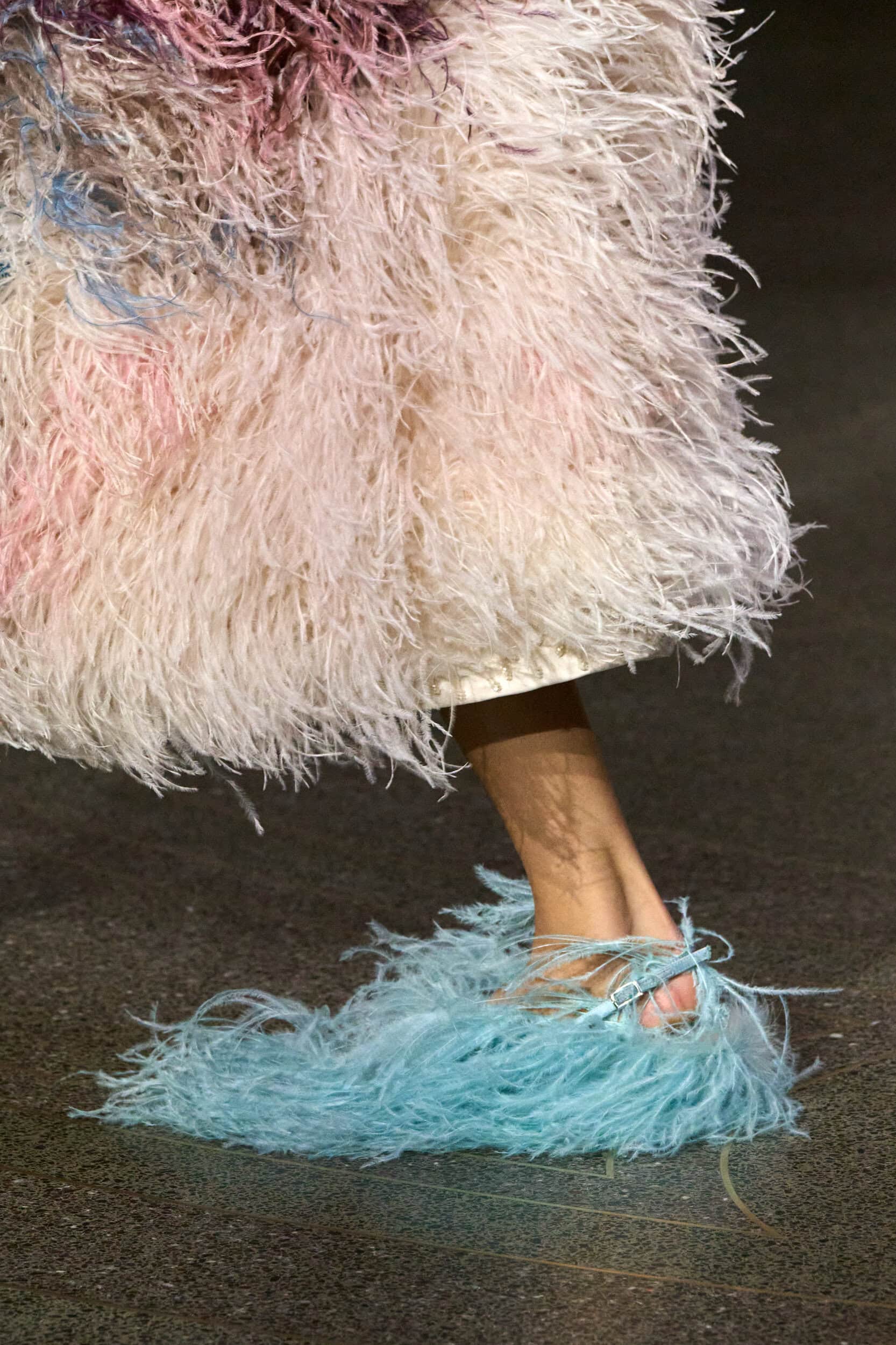 Erdem Fall 2026 Fashion Show Details