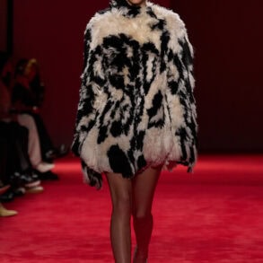 Bottega Veneta Fall 2026 Fashion Show