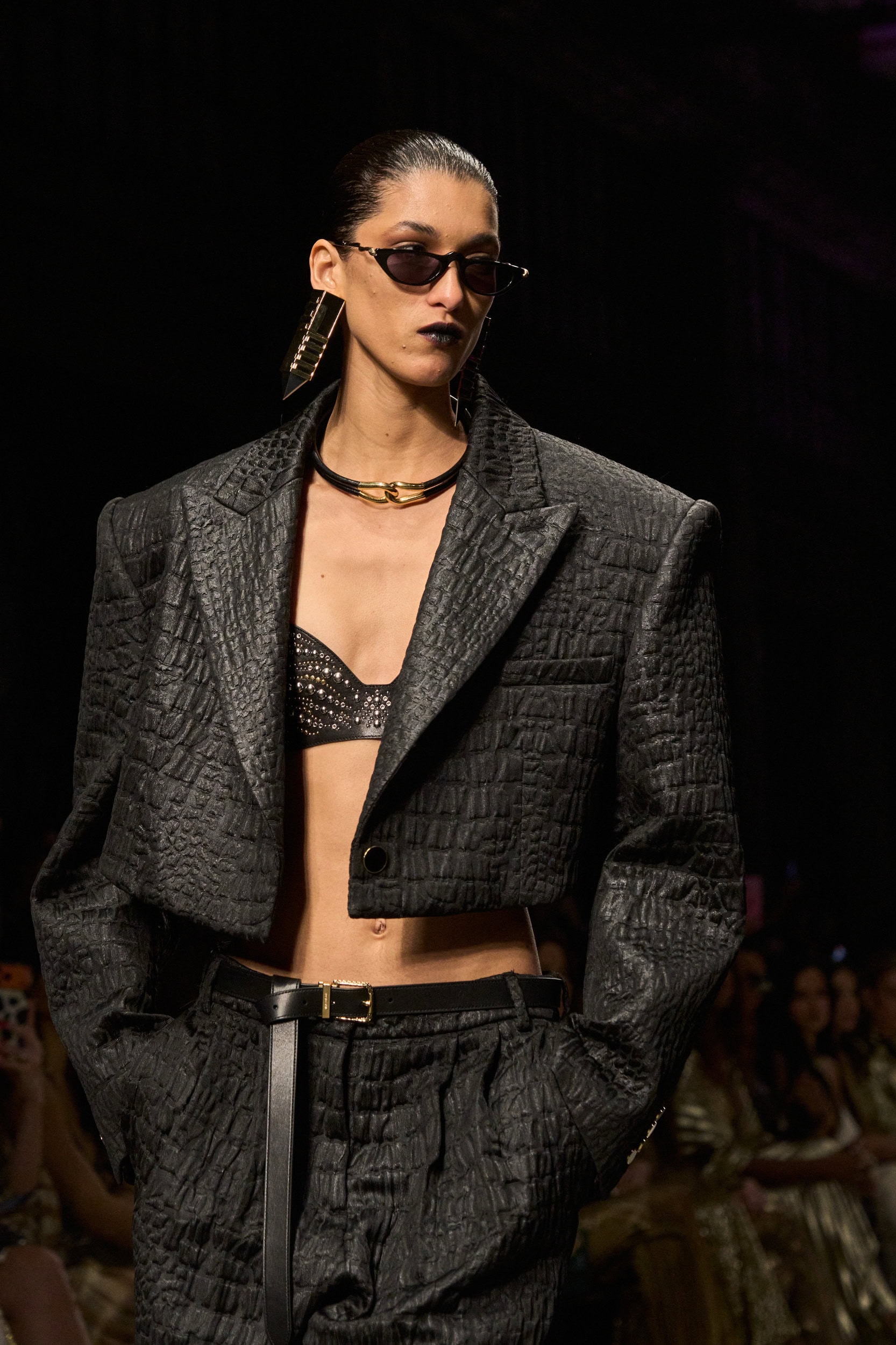 Roberto Cavalli Fall 2026 Fashion Show Atmosphere