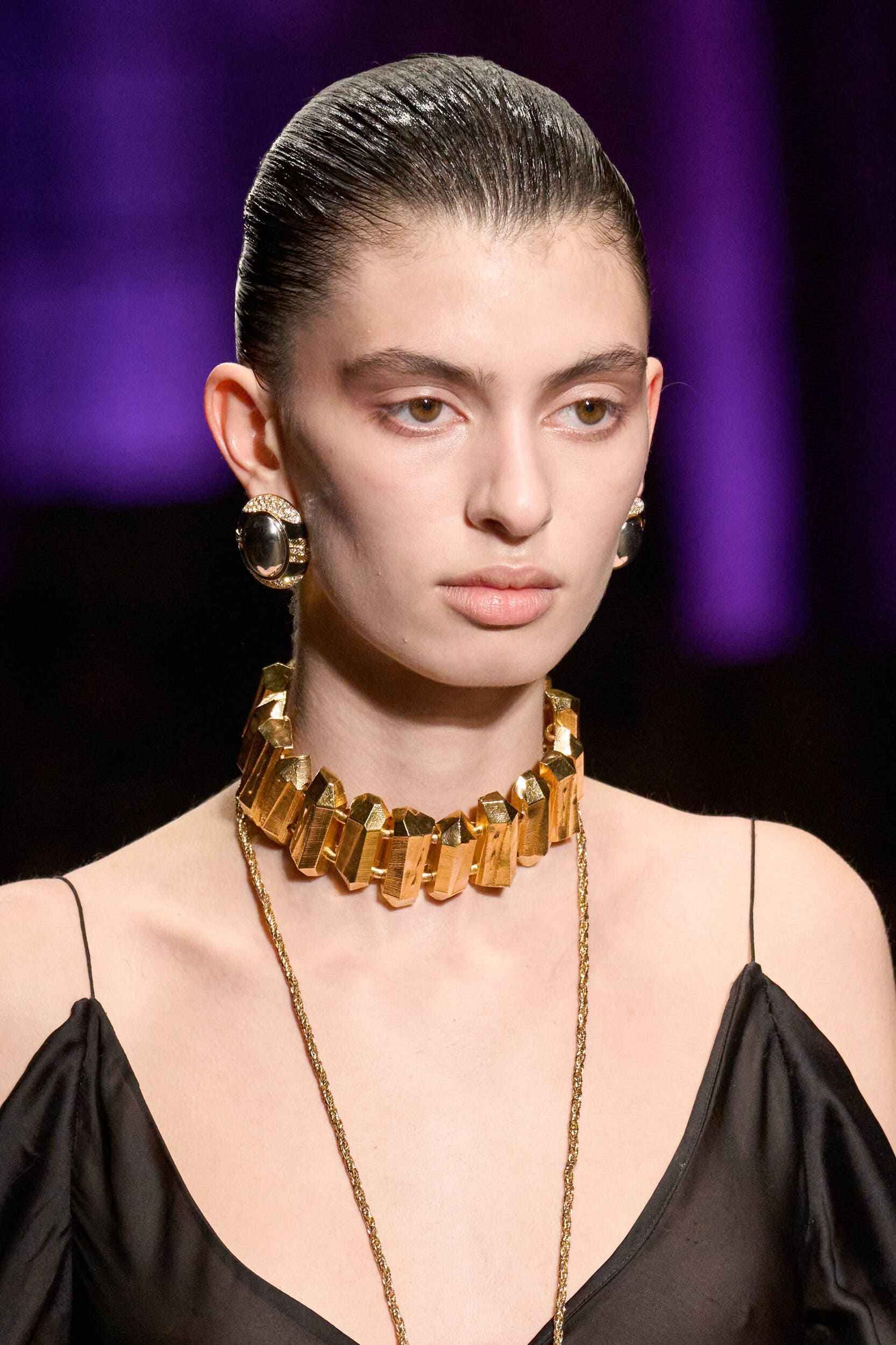 Roberto Cavalli Fall 2026 Fashion Show Details