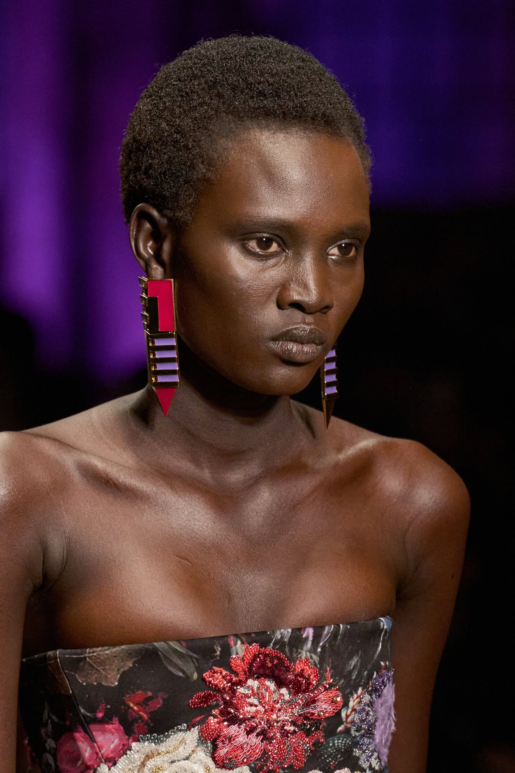 Roberto Cavalli Fall 2026 Fashion Show Details