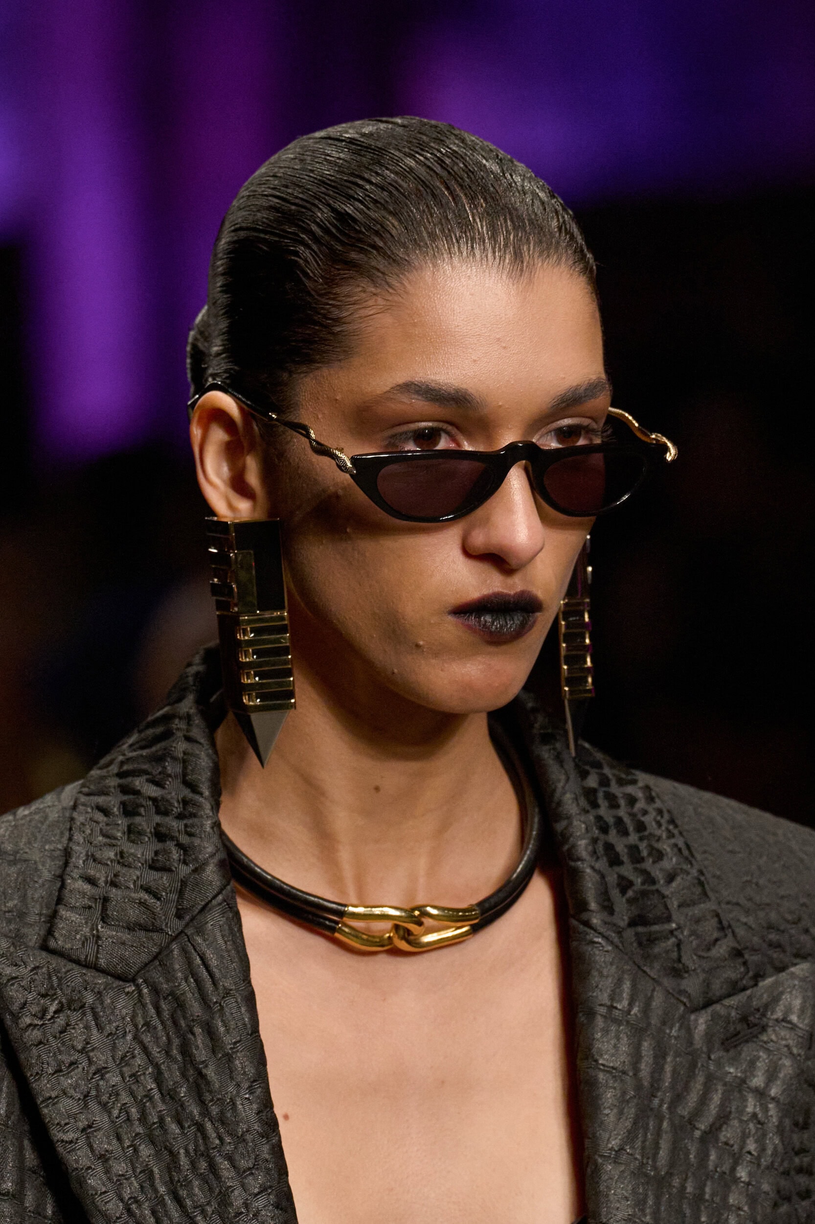 Roberto Cavalli Fall 2026 Fashion Show Details