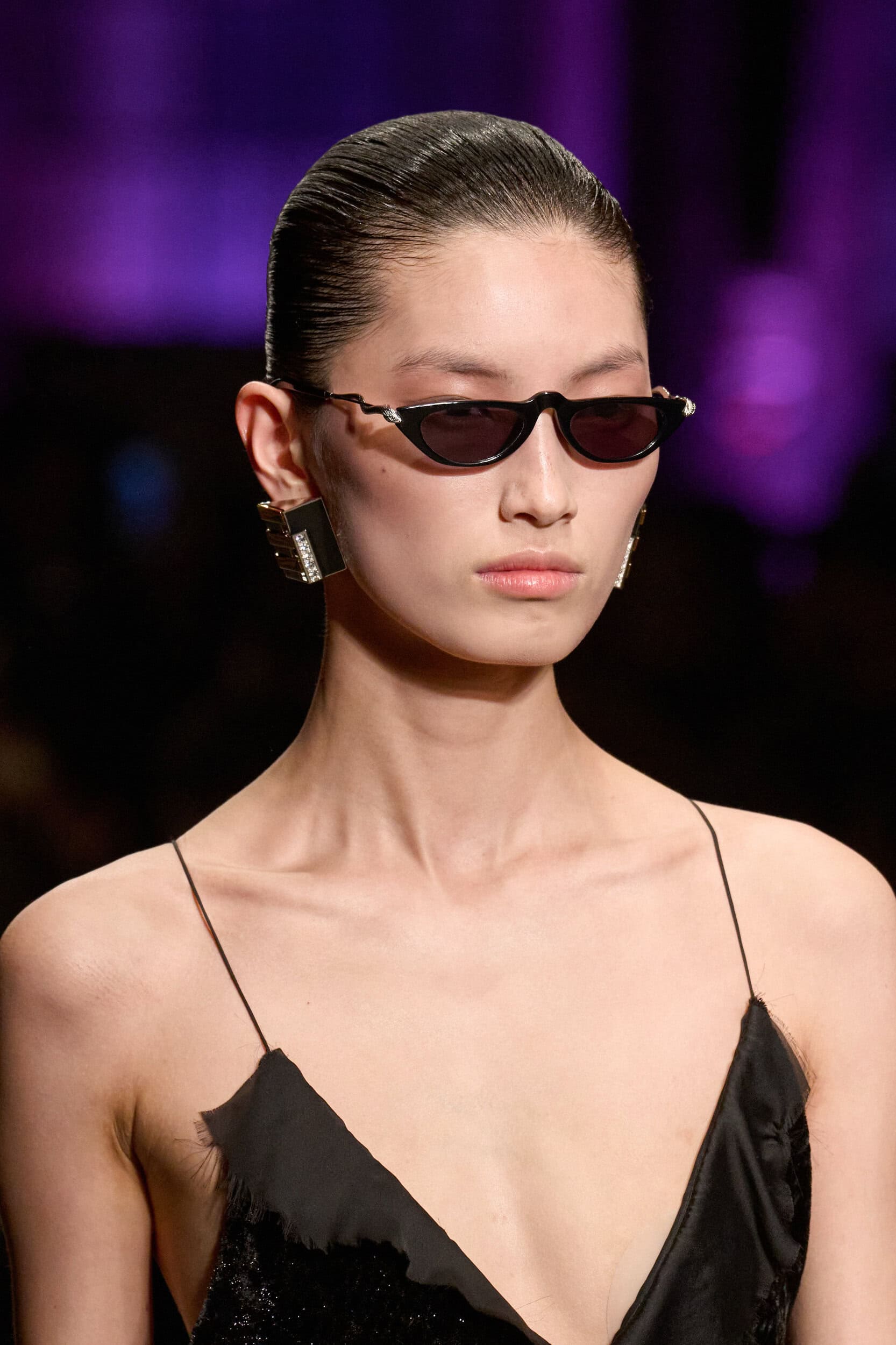 Roberto Cavalli Fall 2026 Fashion Show Details