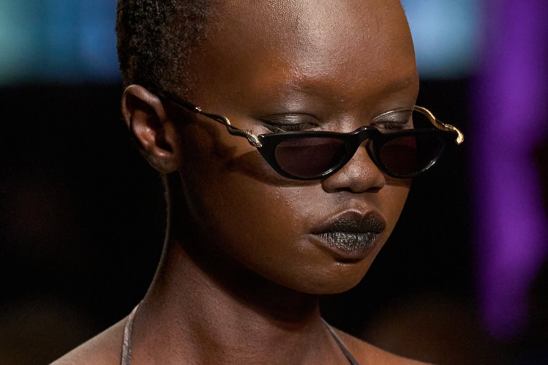 Roberto Cavalli Fall 2026 Fashion Show Details