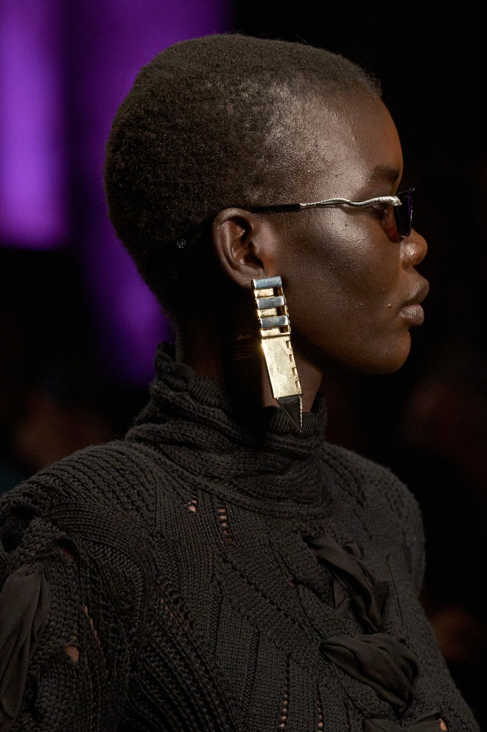 Roberto Cavalli Fall 2026 Fashion Show Details