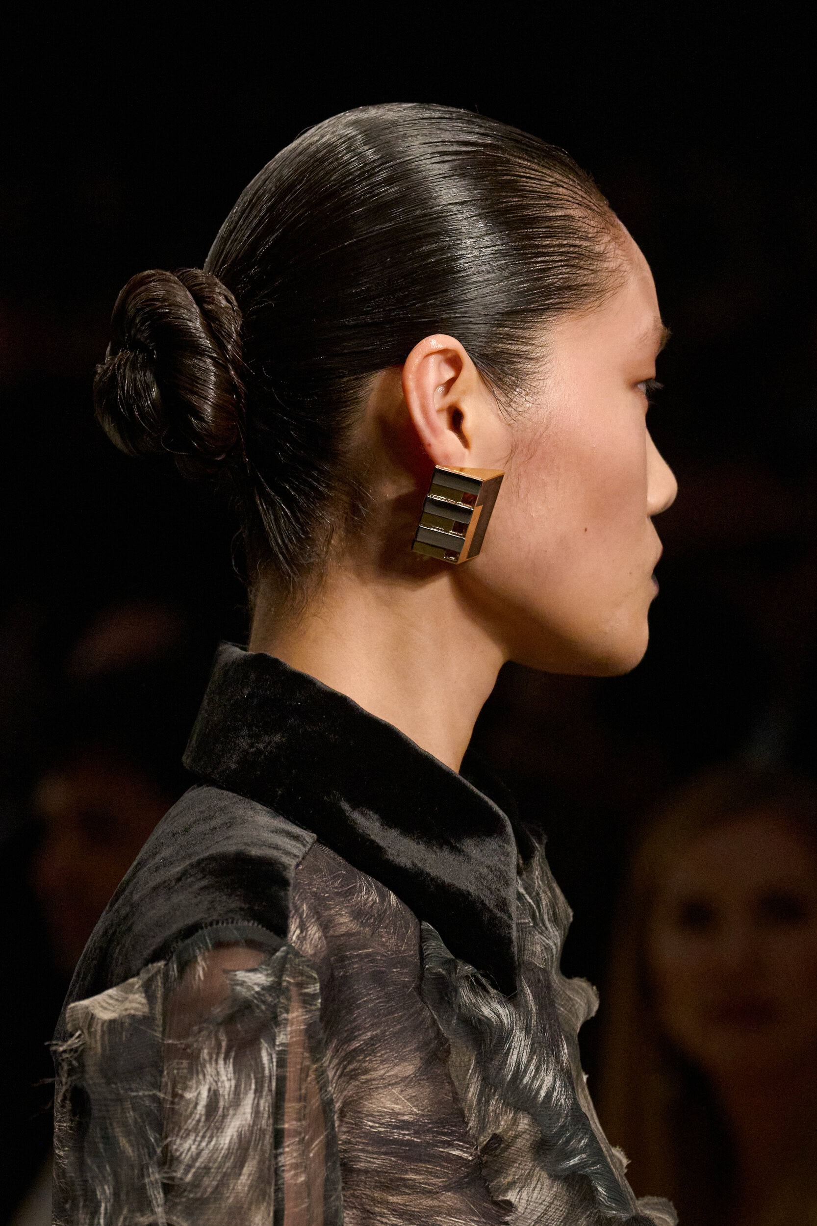 Roberto Cavalli Fall 2026 Fashion Show Details