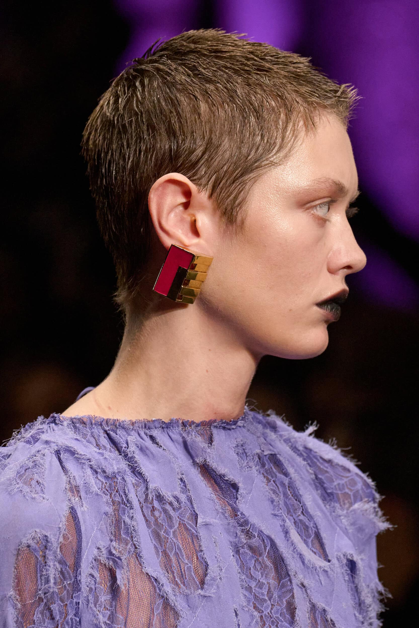 Roberto Cavalli Fall 2026 Fashion Show Details