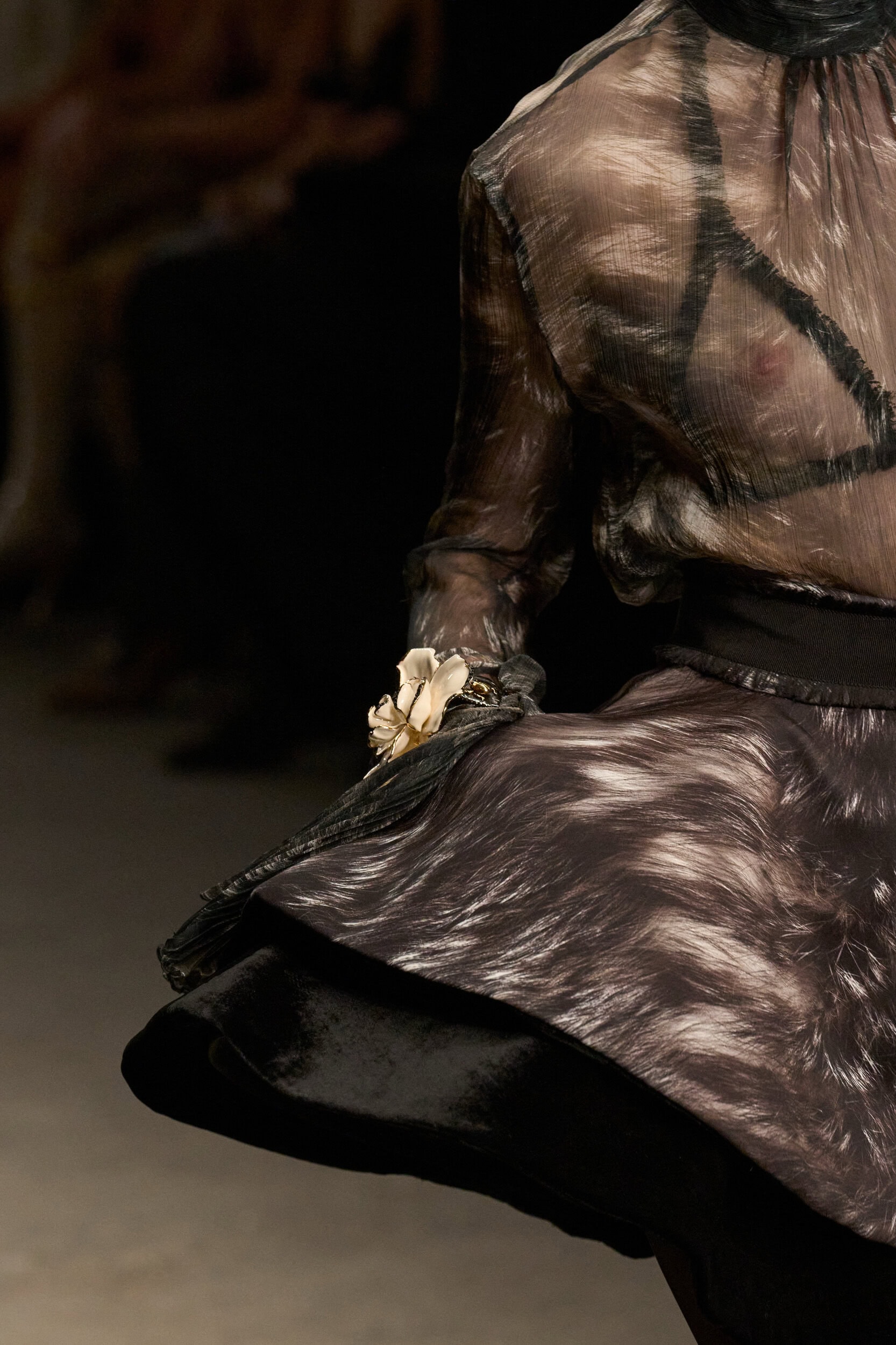 Roberto Cavalli Fall 2026 Fashion Show Details