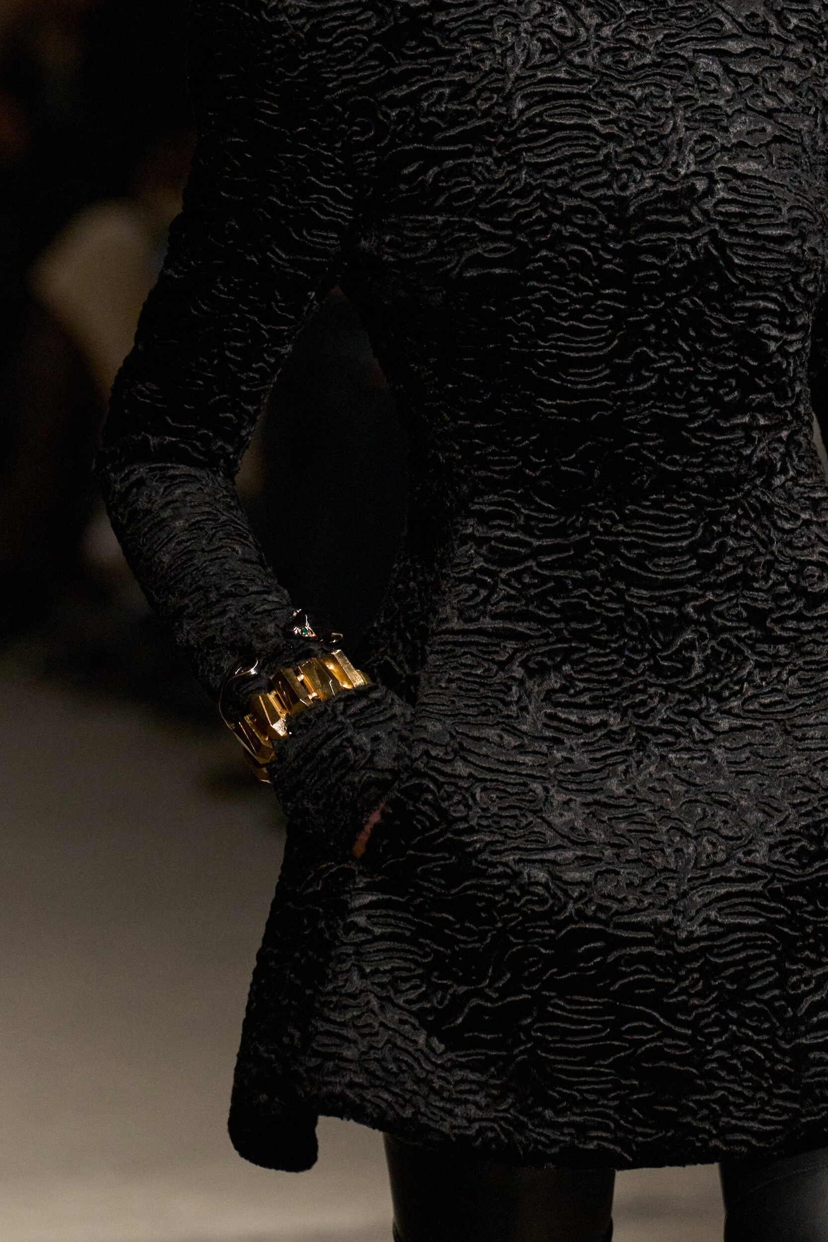 Roberto Cavalli Fall 2026 Fashion Show Details