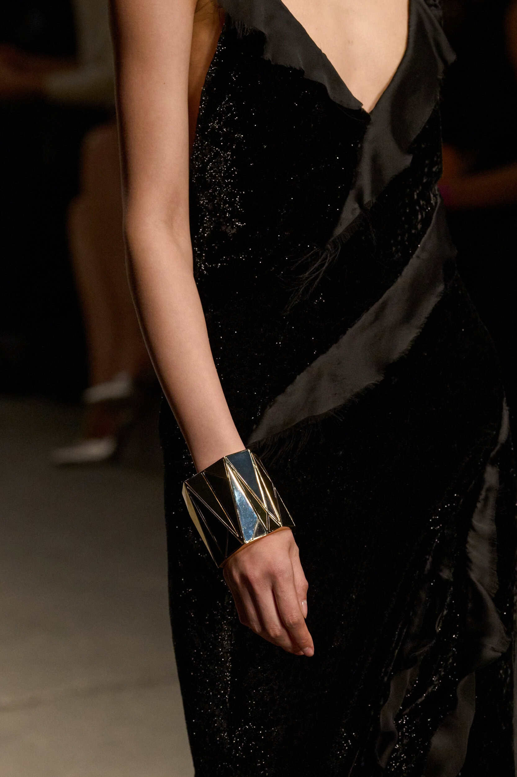 Roberto Cavalli Fall 2026 Fashion Show Details