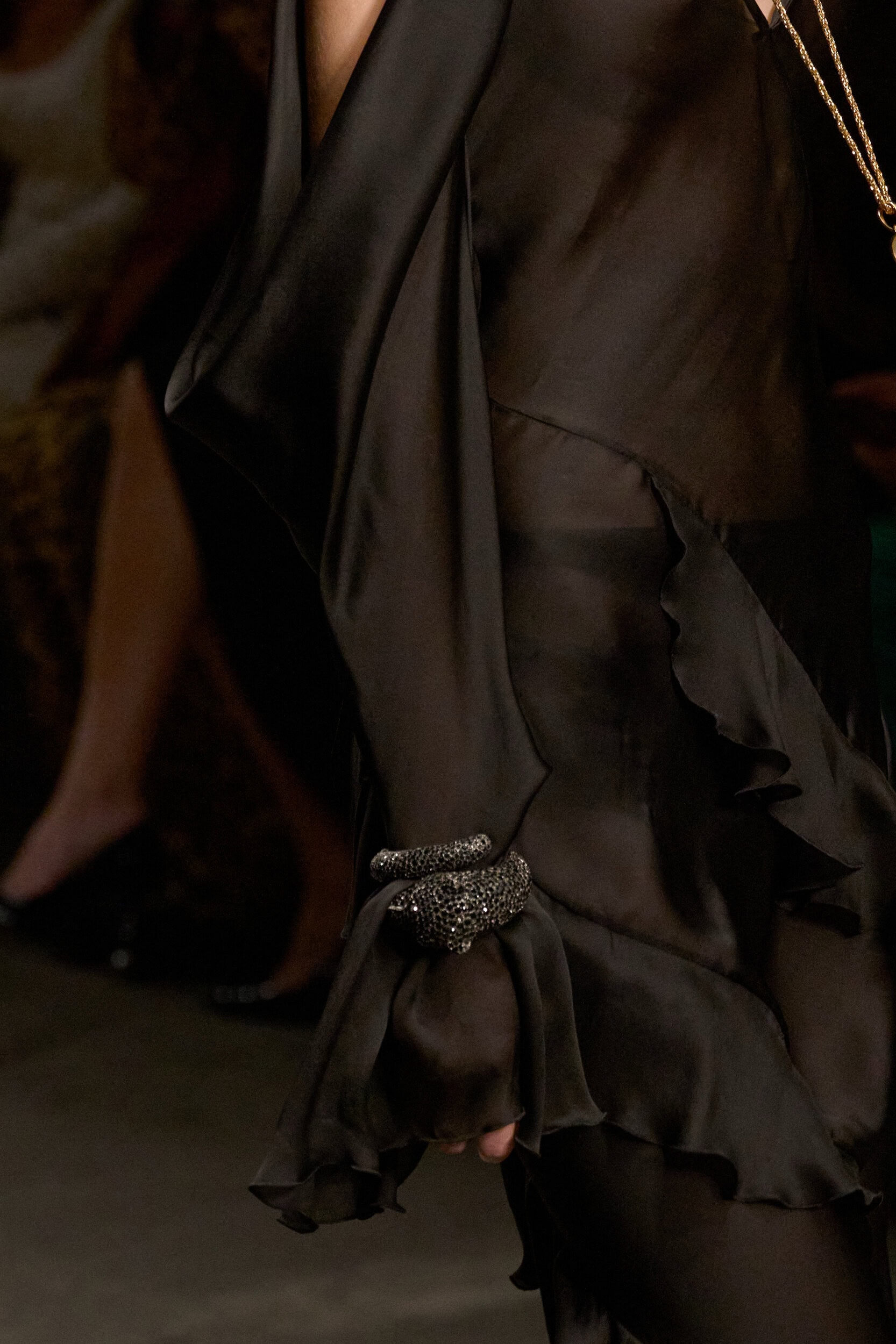 Roberto Cavalli Fall 2026 Fashion Show Details