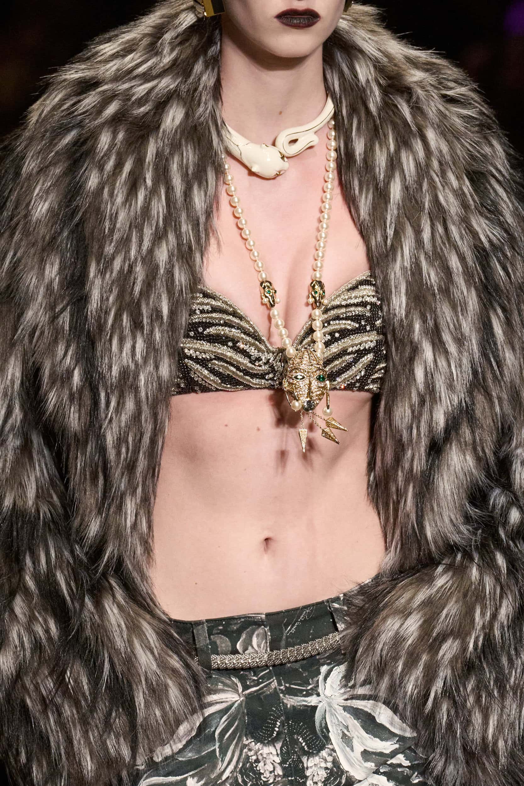 Roberto Cavalli Fall 2026 Fashion Show Details