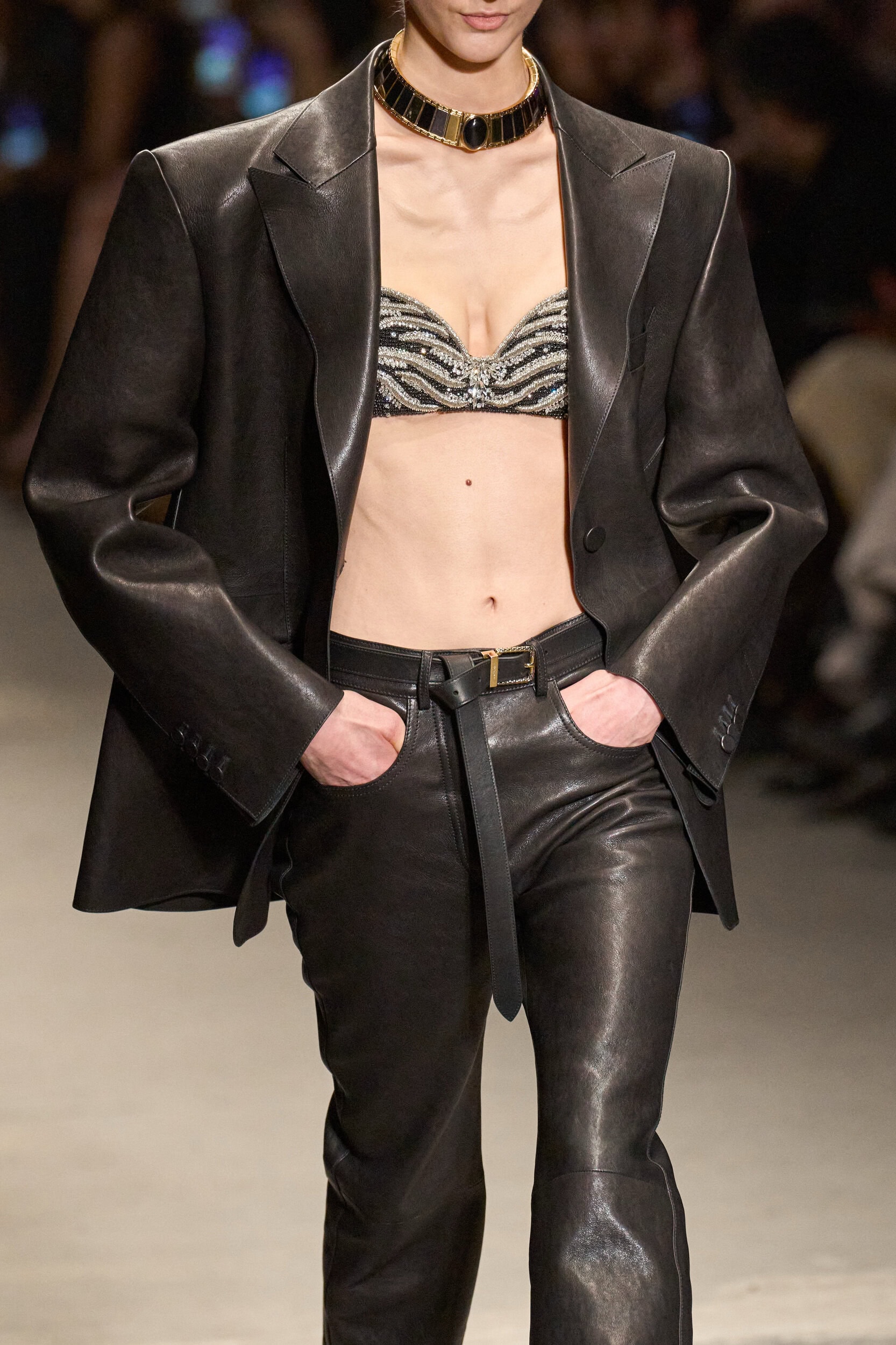 Roberto Cavalli Fall 2026 Fashion Show Details