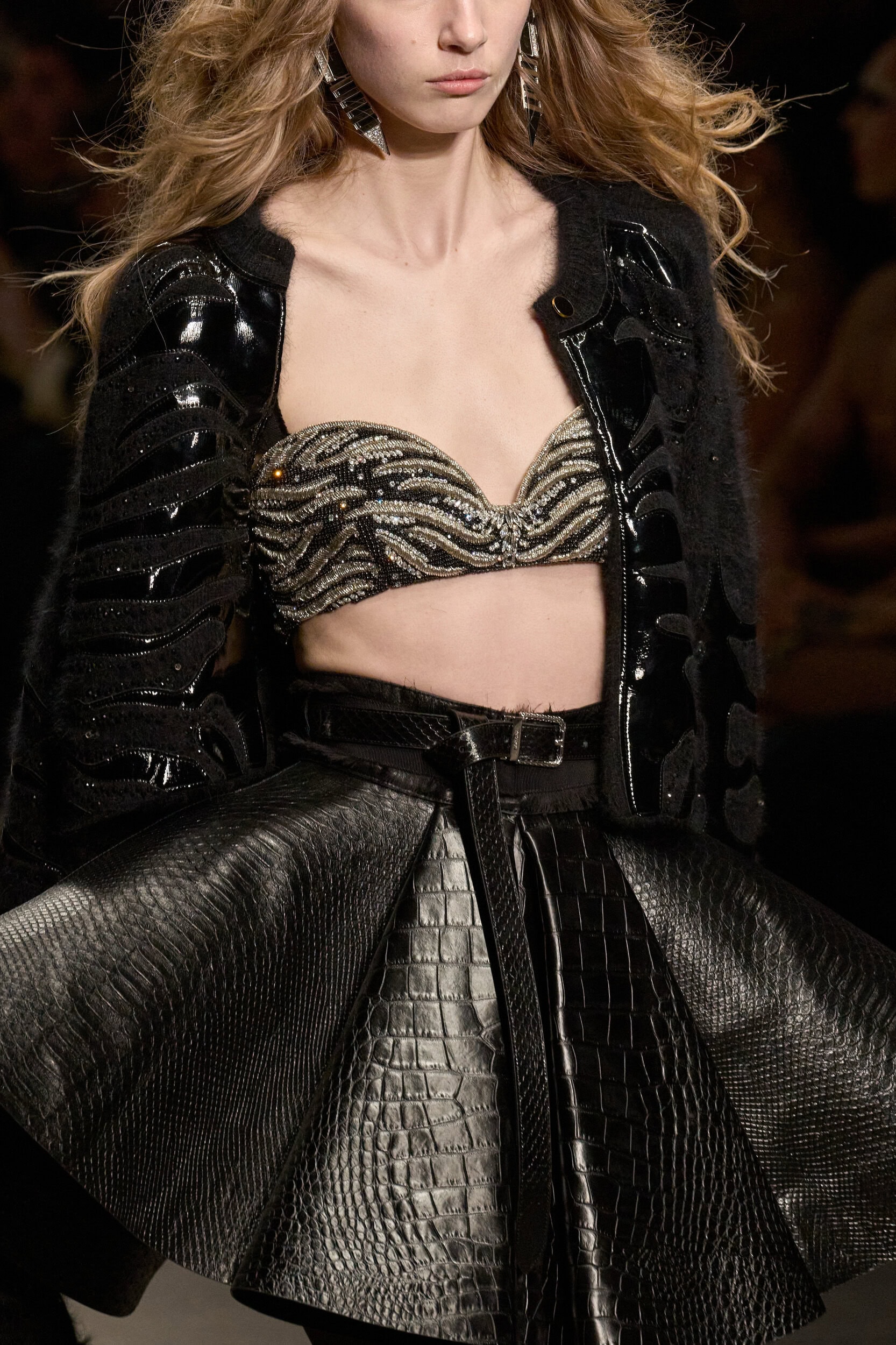Roberto Cavalli Fall 2026 Fashion Show Details