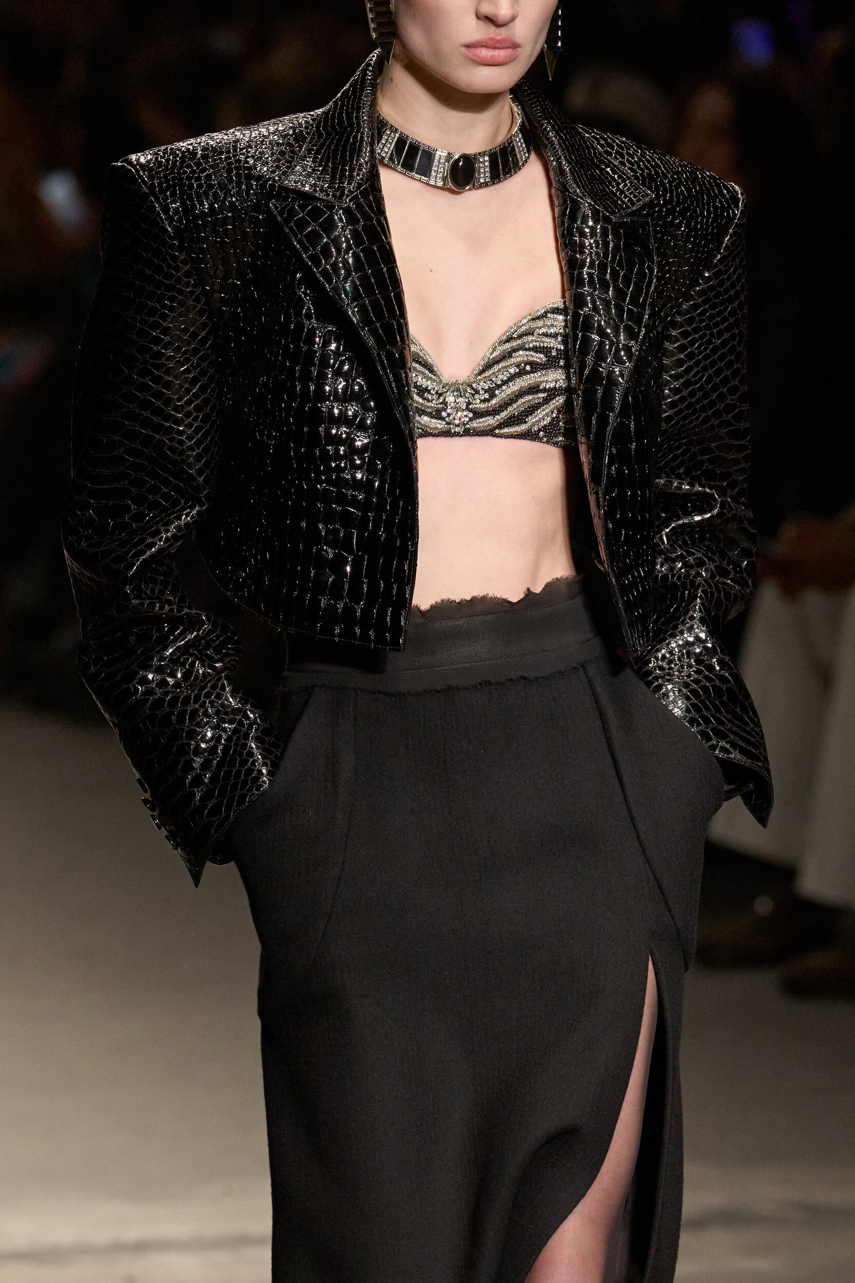 Roberto Cavalli Fall 2026 Fashion Show Details