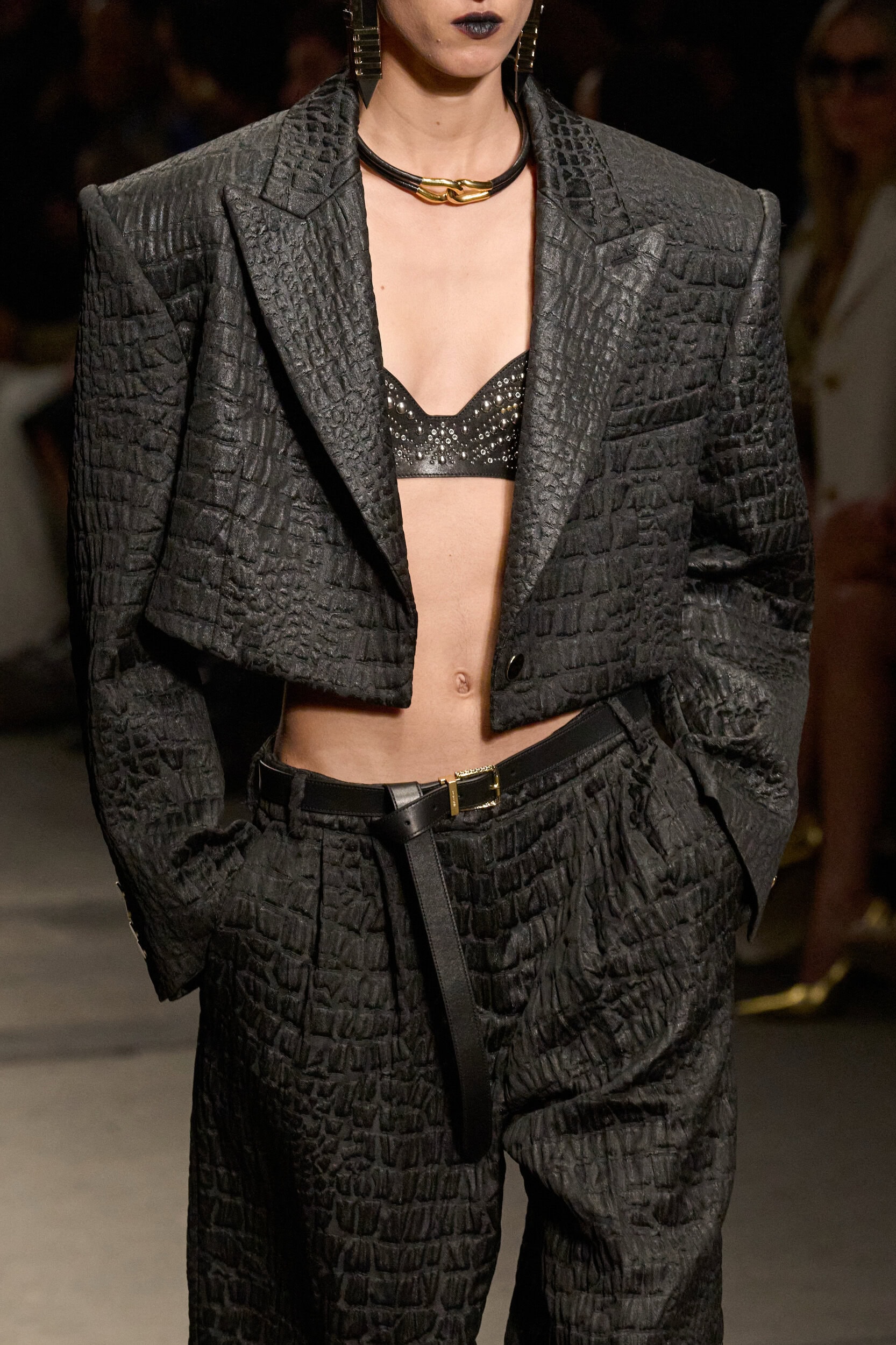 Roberto Cavalli Fall 2026 Fashion Show Details