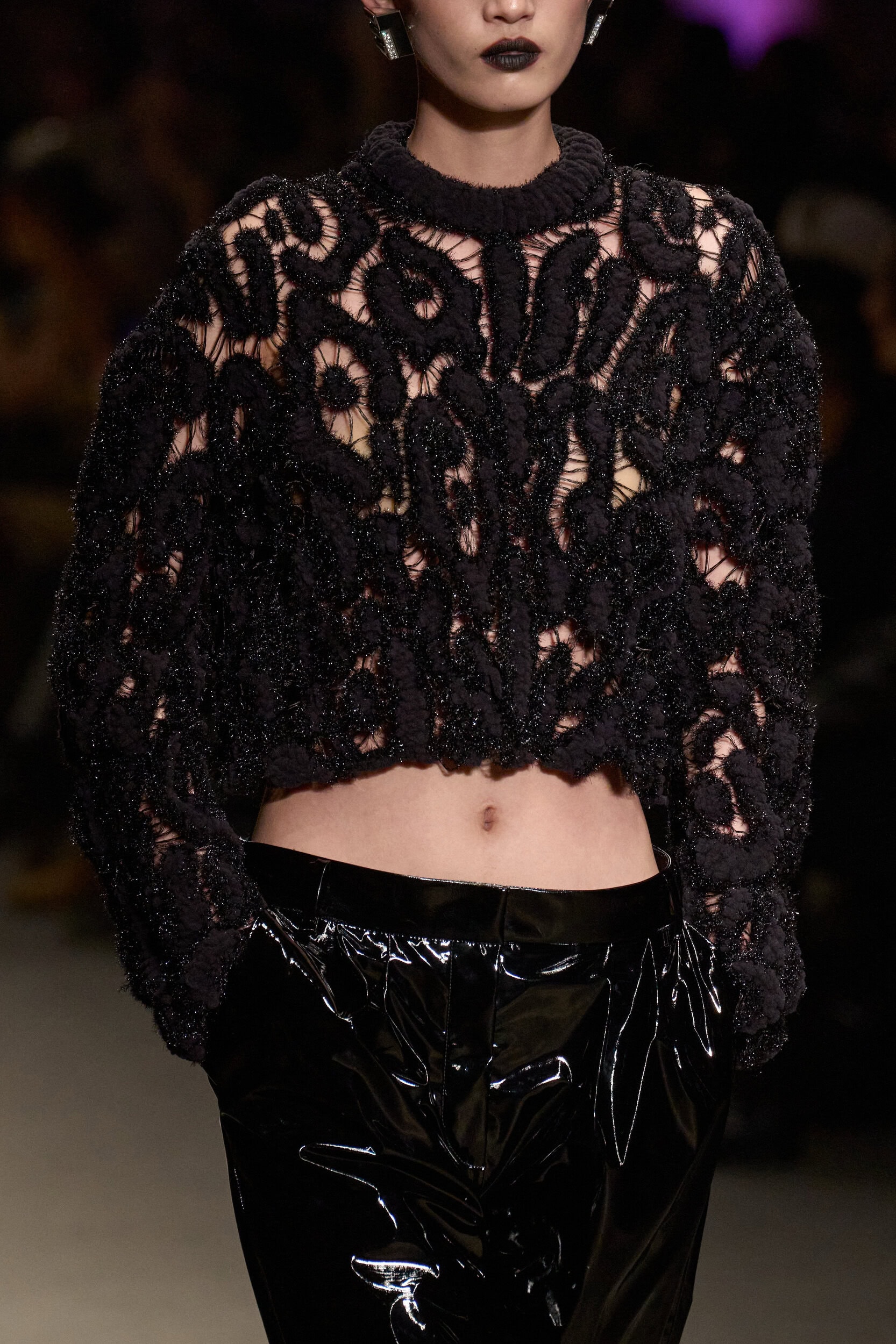 Roberto Cavalli Fall 2026 Fashion Show Details