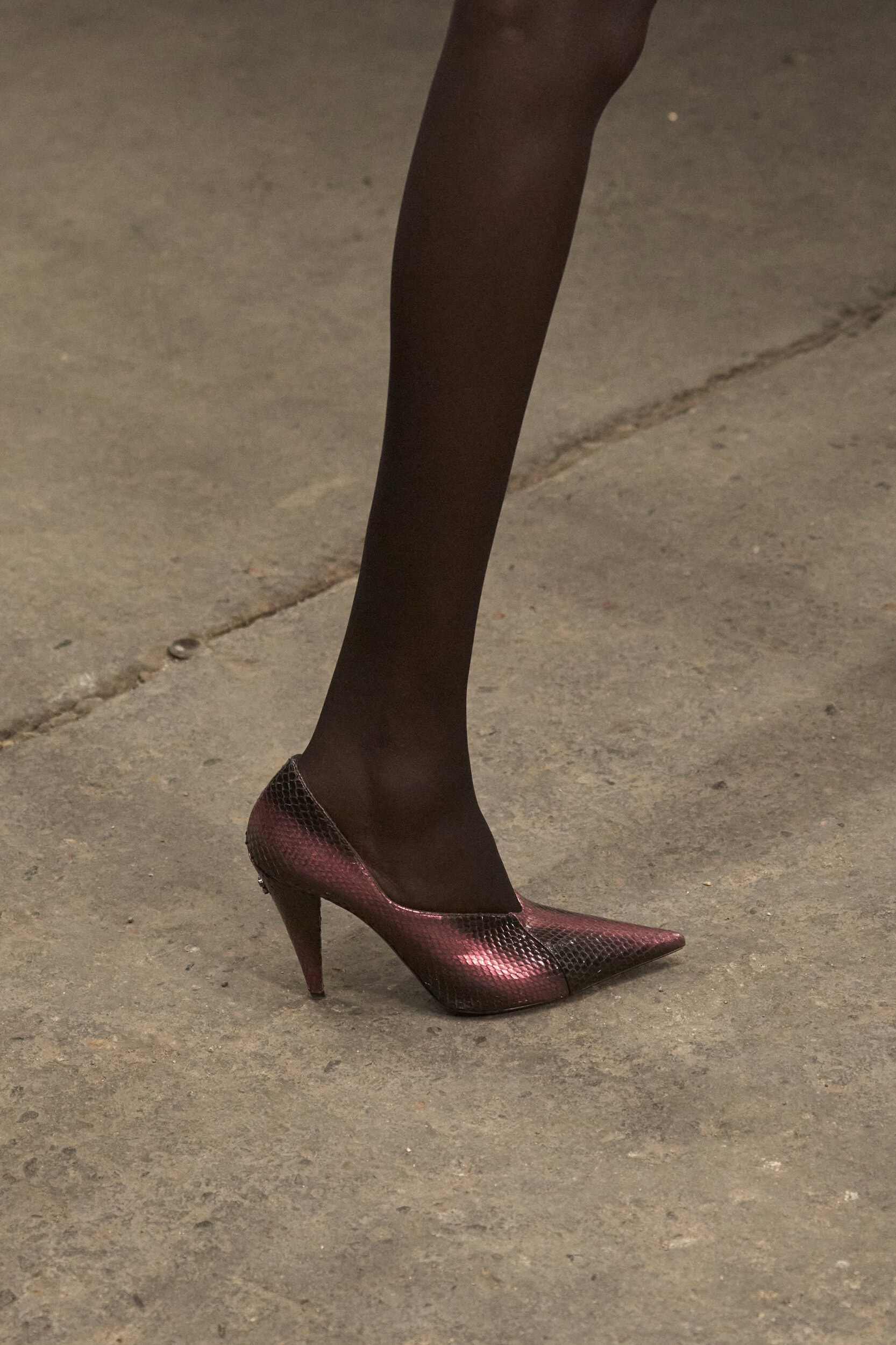 Roberto Cavalli Fall 2026 Fashion Show Details