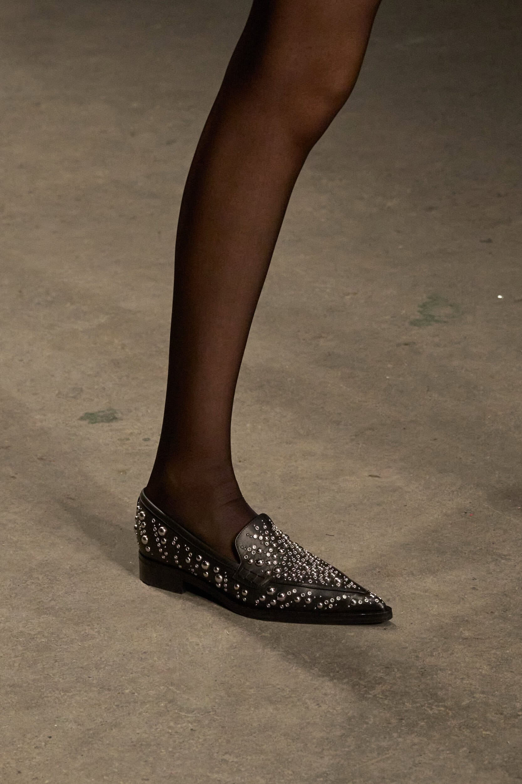 Roberto Cavalli Fall 2026 Fashion Show Details