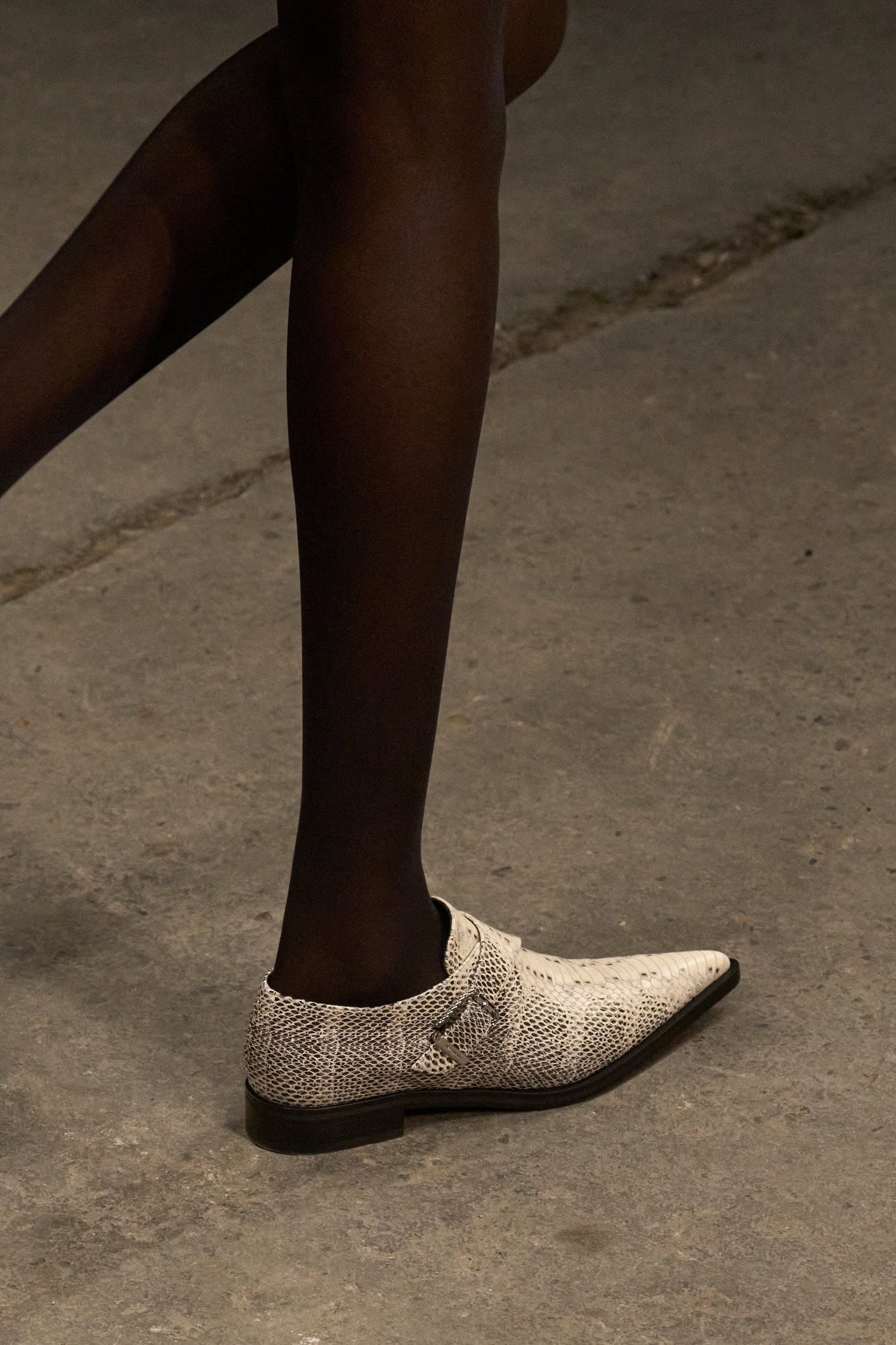 Roberto Cavalli Fall 2026 Fashion Show Details