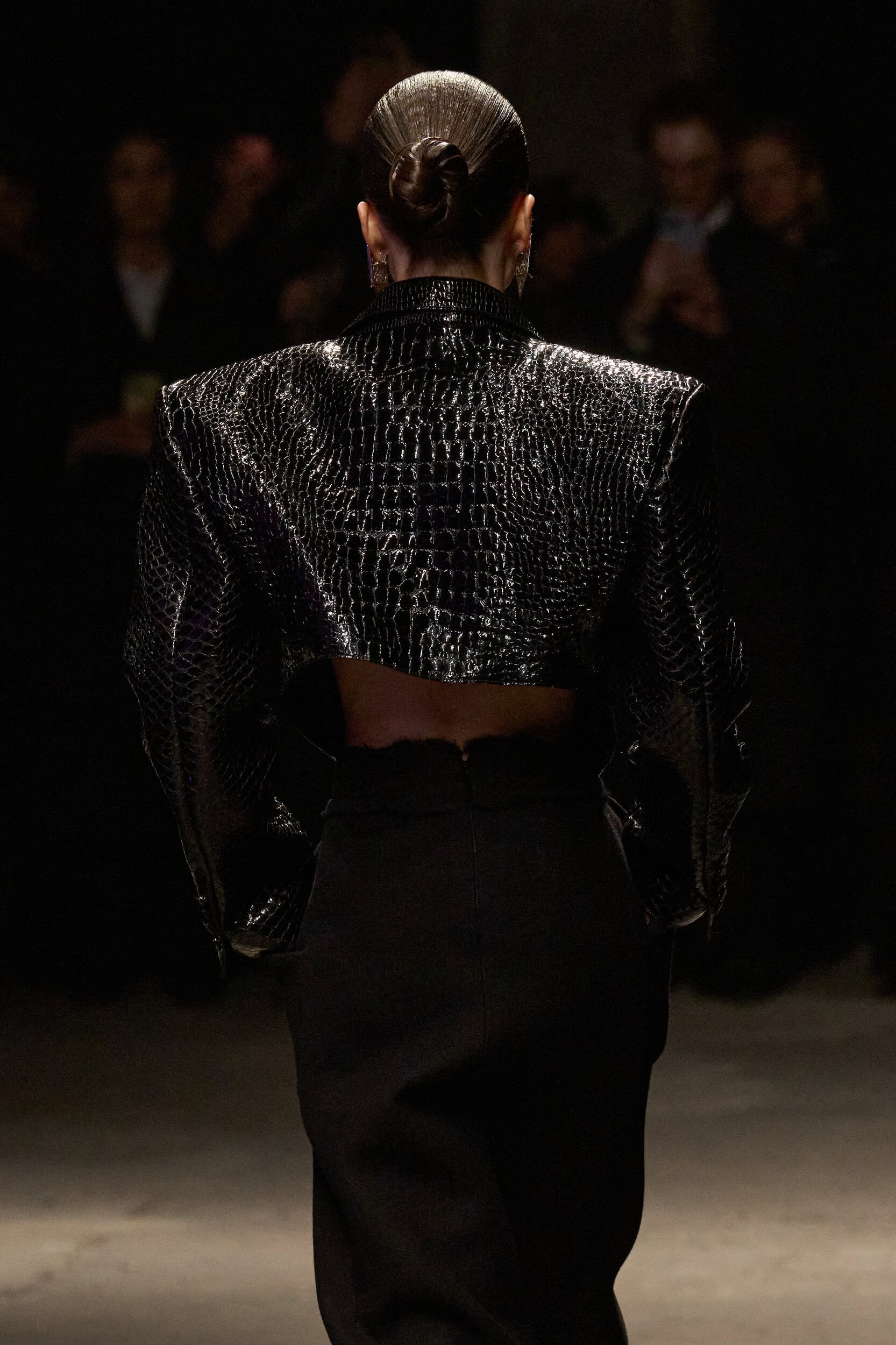 Roberto Cavalli Fall 2026 Fashion Show Details