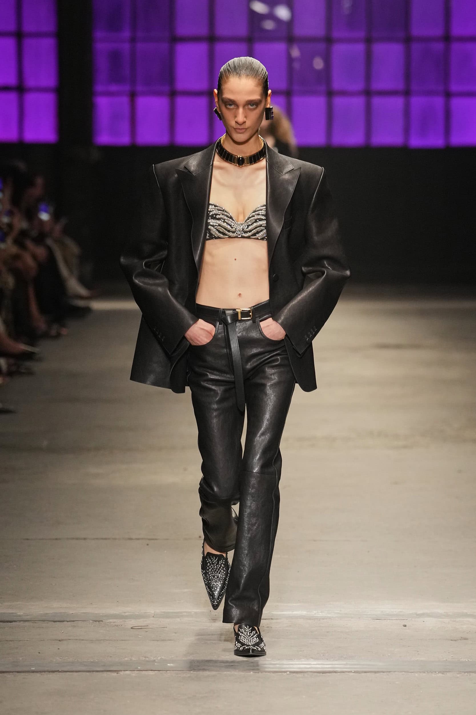 Roberto Cavalli Fall 2026 Fashion Show