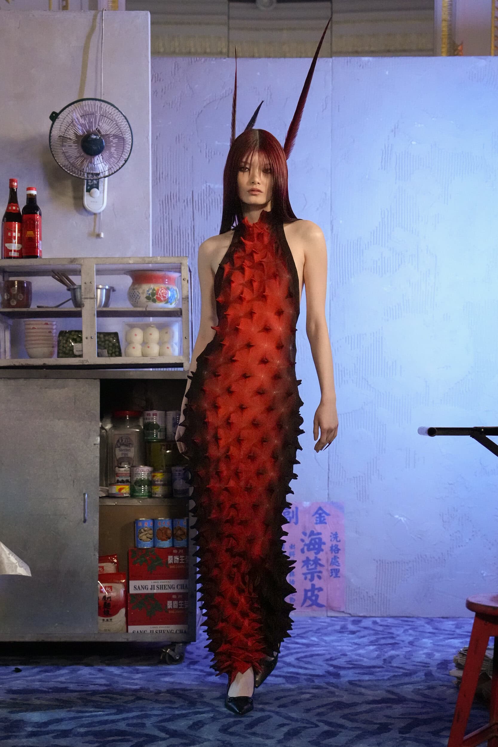 Chet Lo Fall 2026 Fashion Show