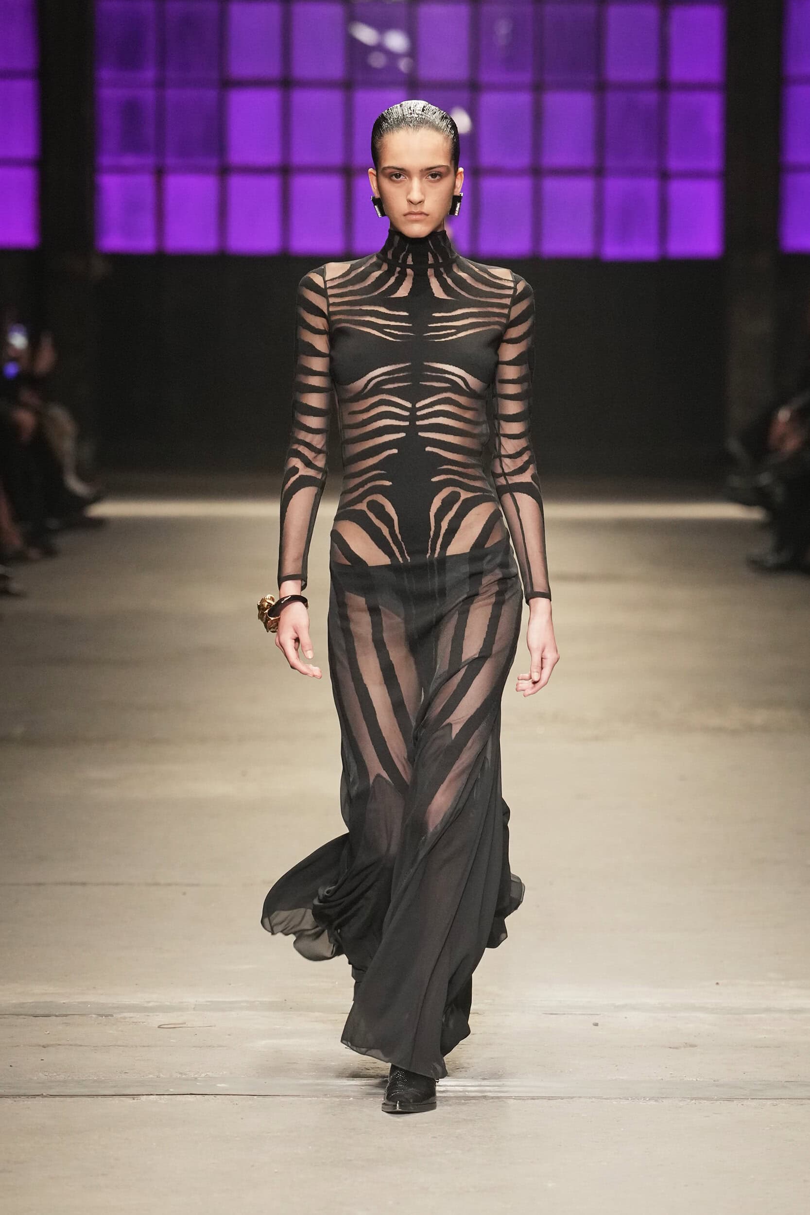 Roberto Cavalli Fall 2026 Fashion Show